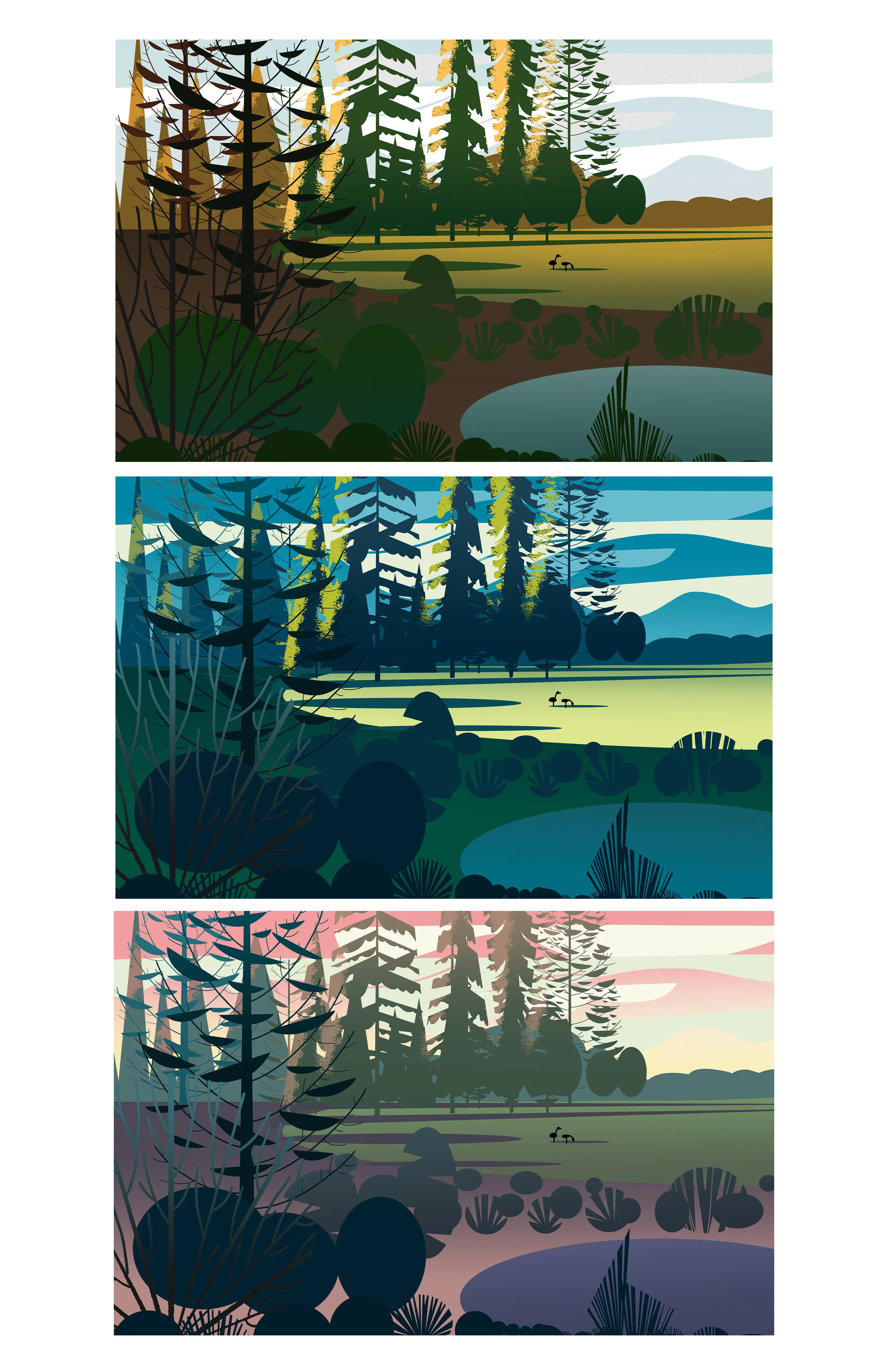 color studies.jpg