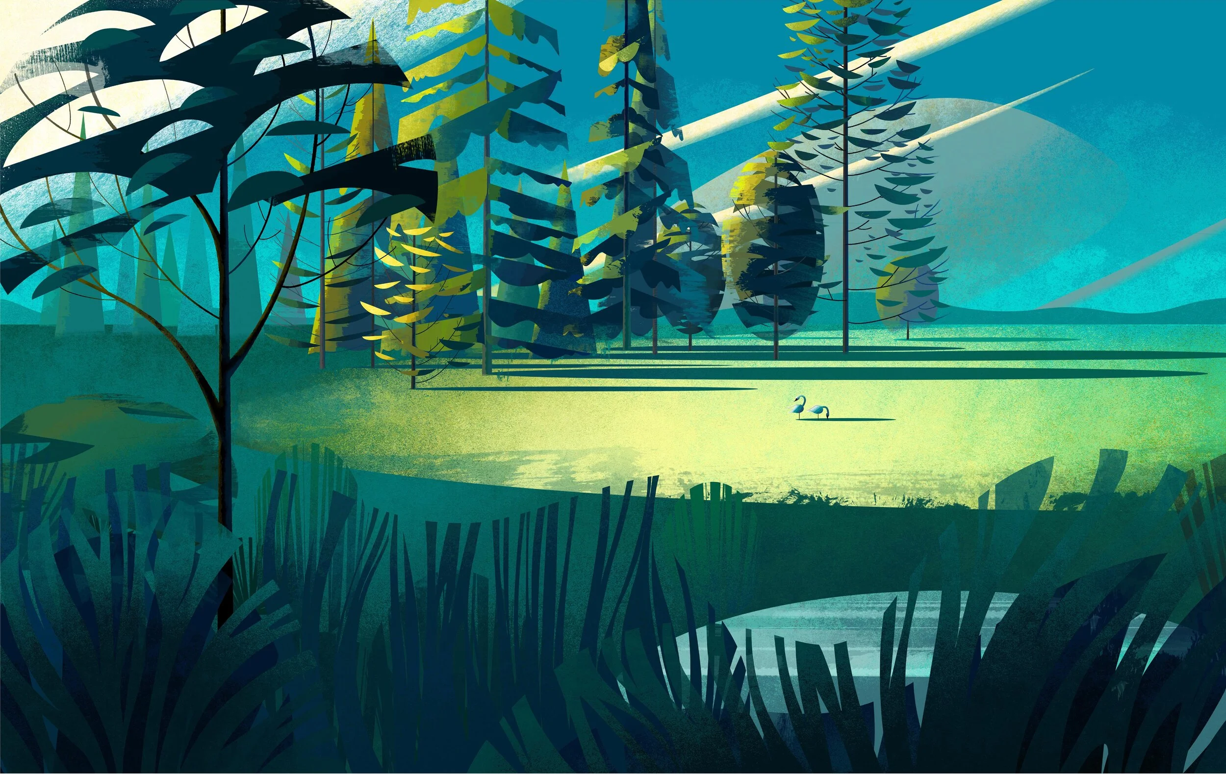 pond pt 1.jpg