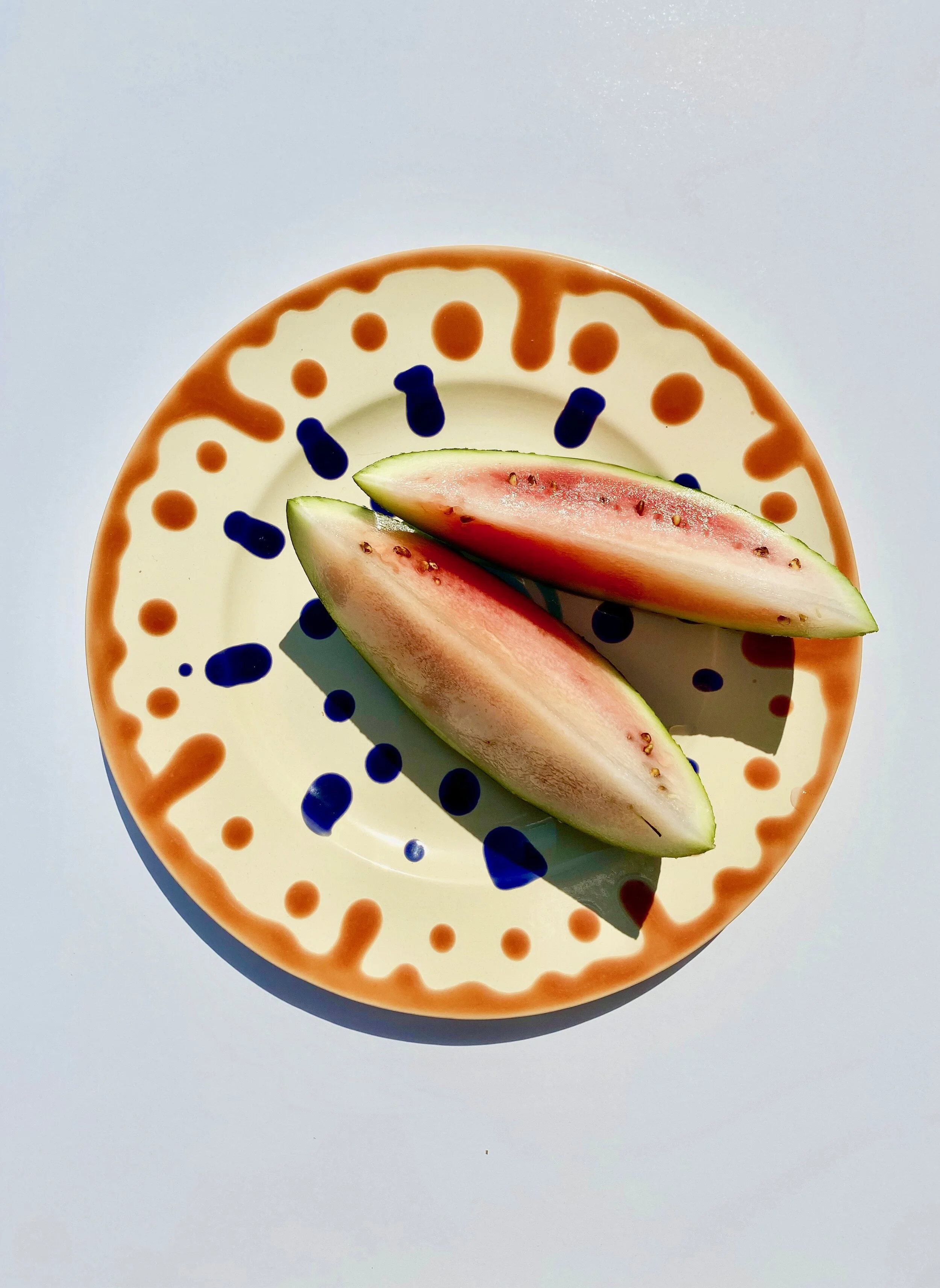 LARGE PLATE "Salmon Splash"