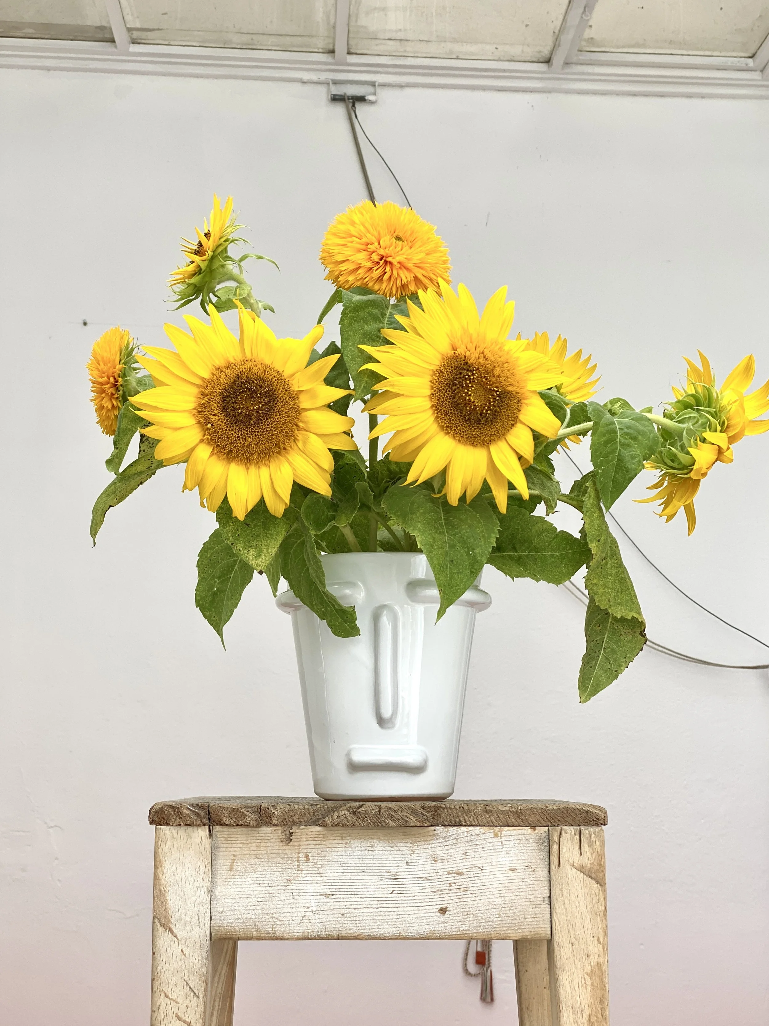 MEDIUM FACE VASE "Ultra White"