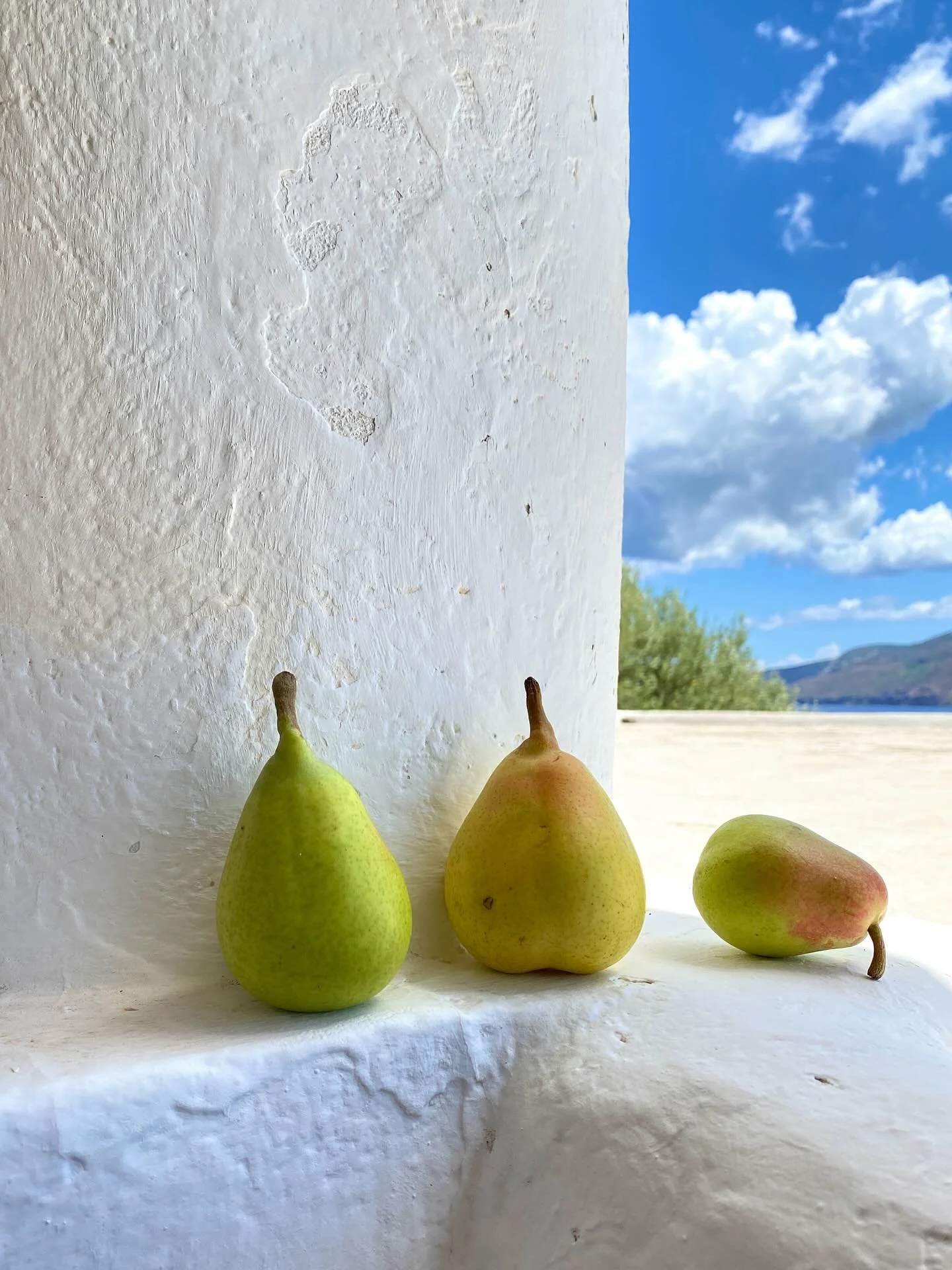 BACK IN TOWN! New Ceramics! The Showroom is open again Friday 2-6 and Saturday 12-5 pm 
Happy to see you! ♥️