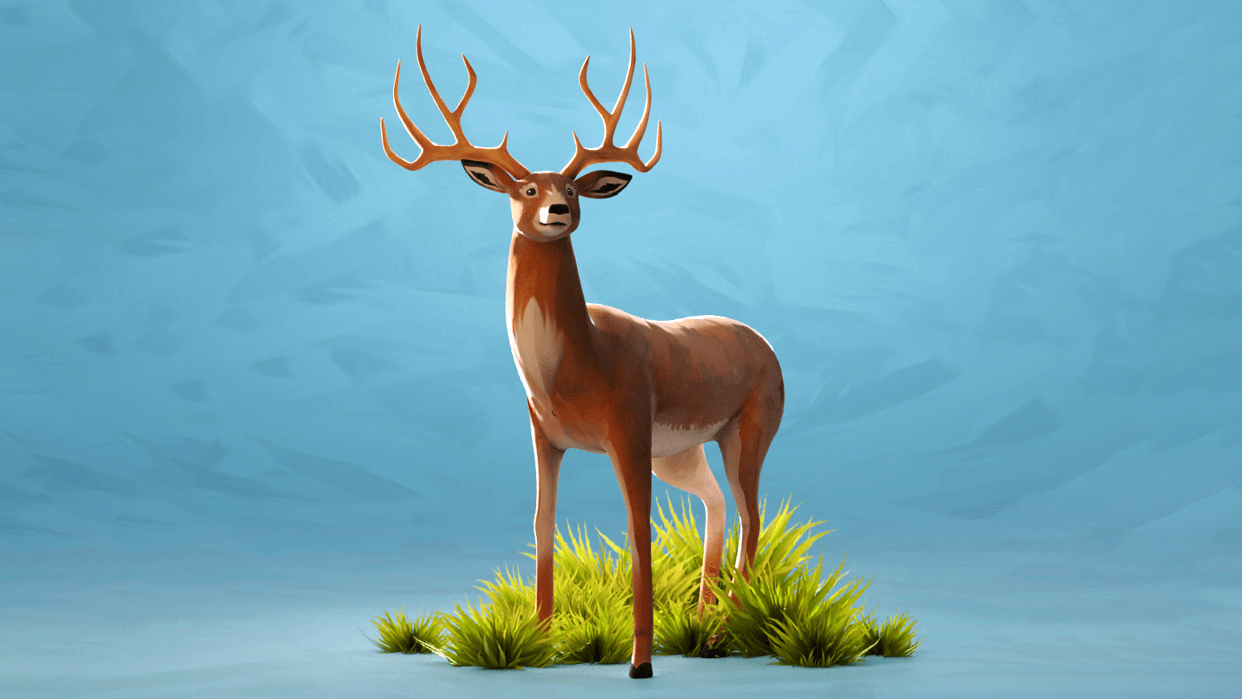 Lexia | Animals Textures
