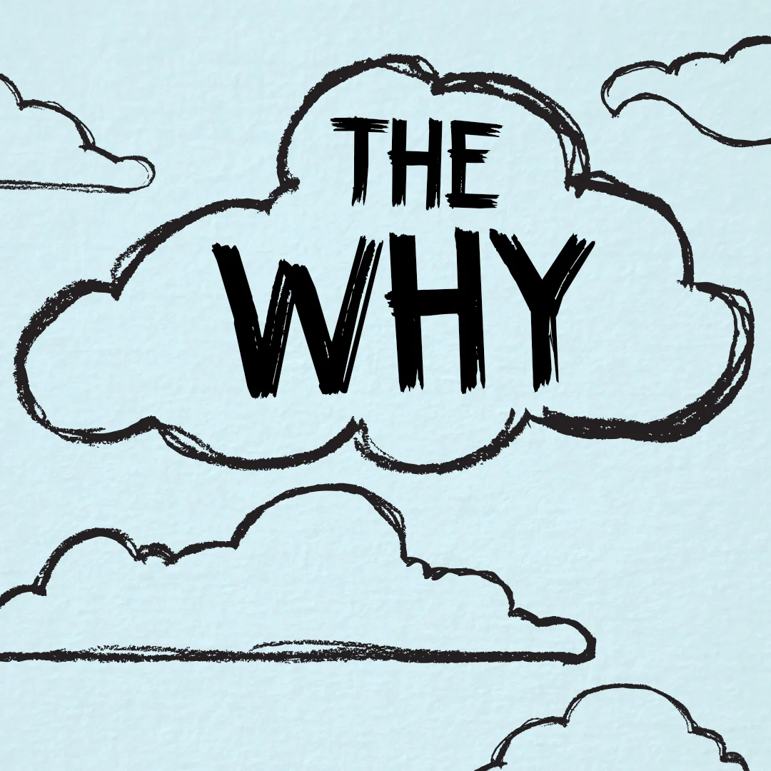 thewhy.jpg