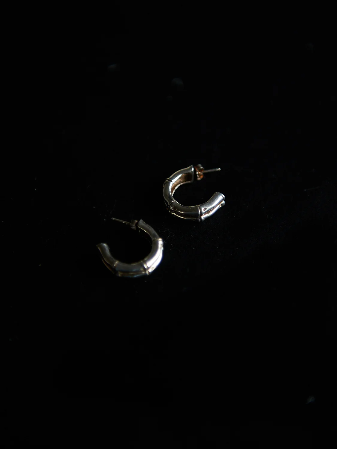 Double Bamboo Earrings