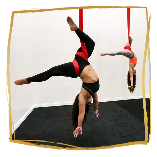 The Aerial Loft, business photo 8