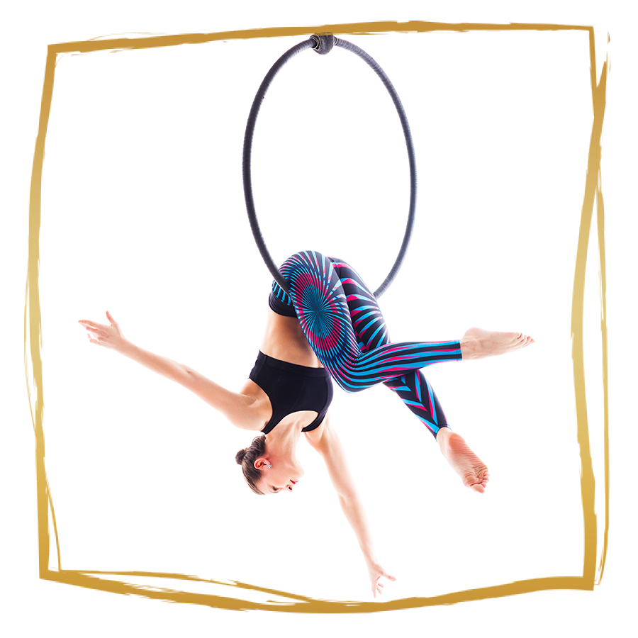 Aerial Hoop