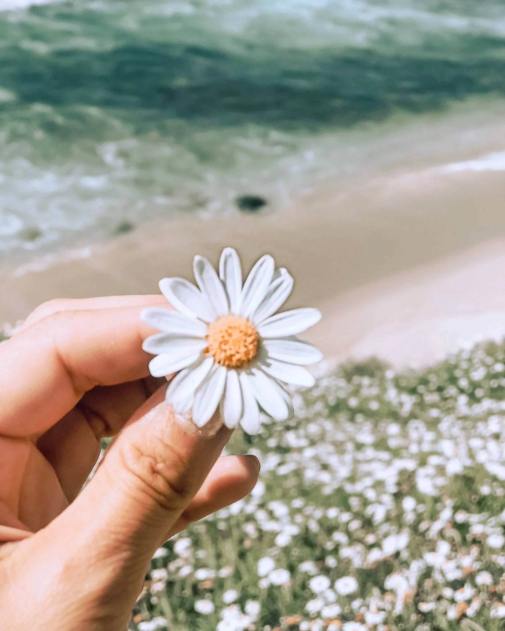 Women Circle; Visualize your best self and your best life
