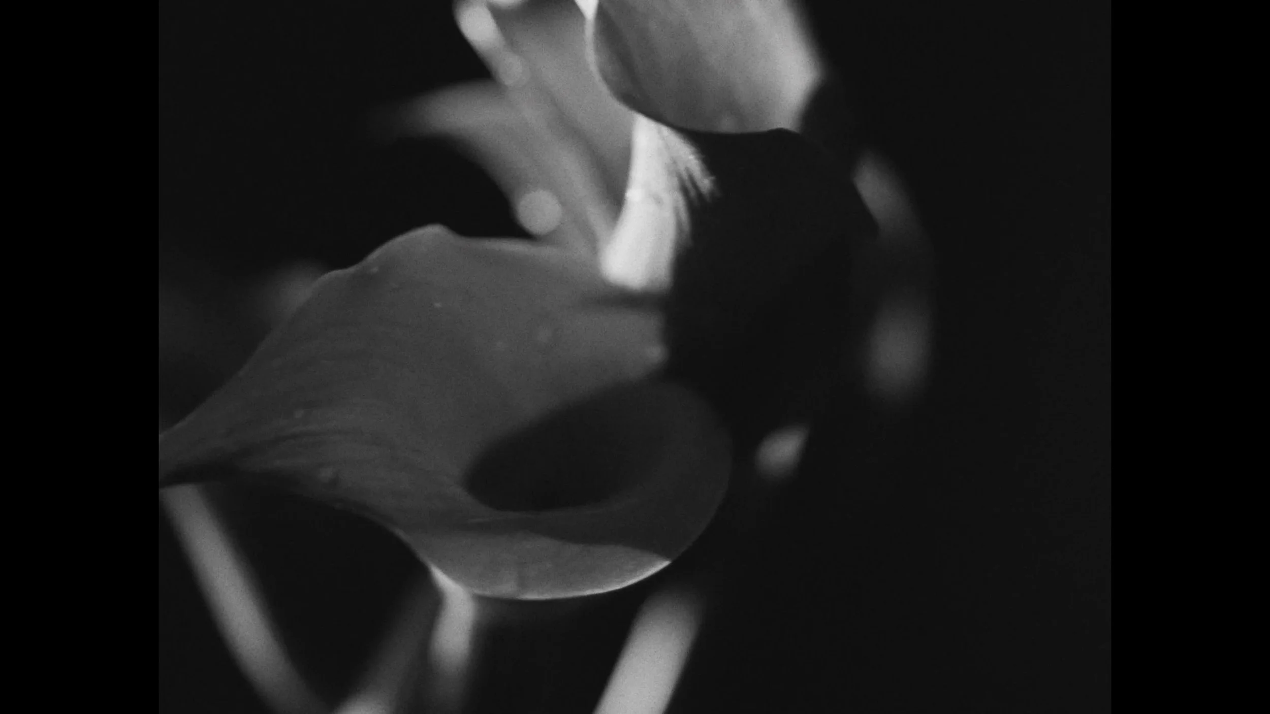 frame_87327.jpg
