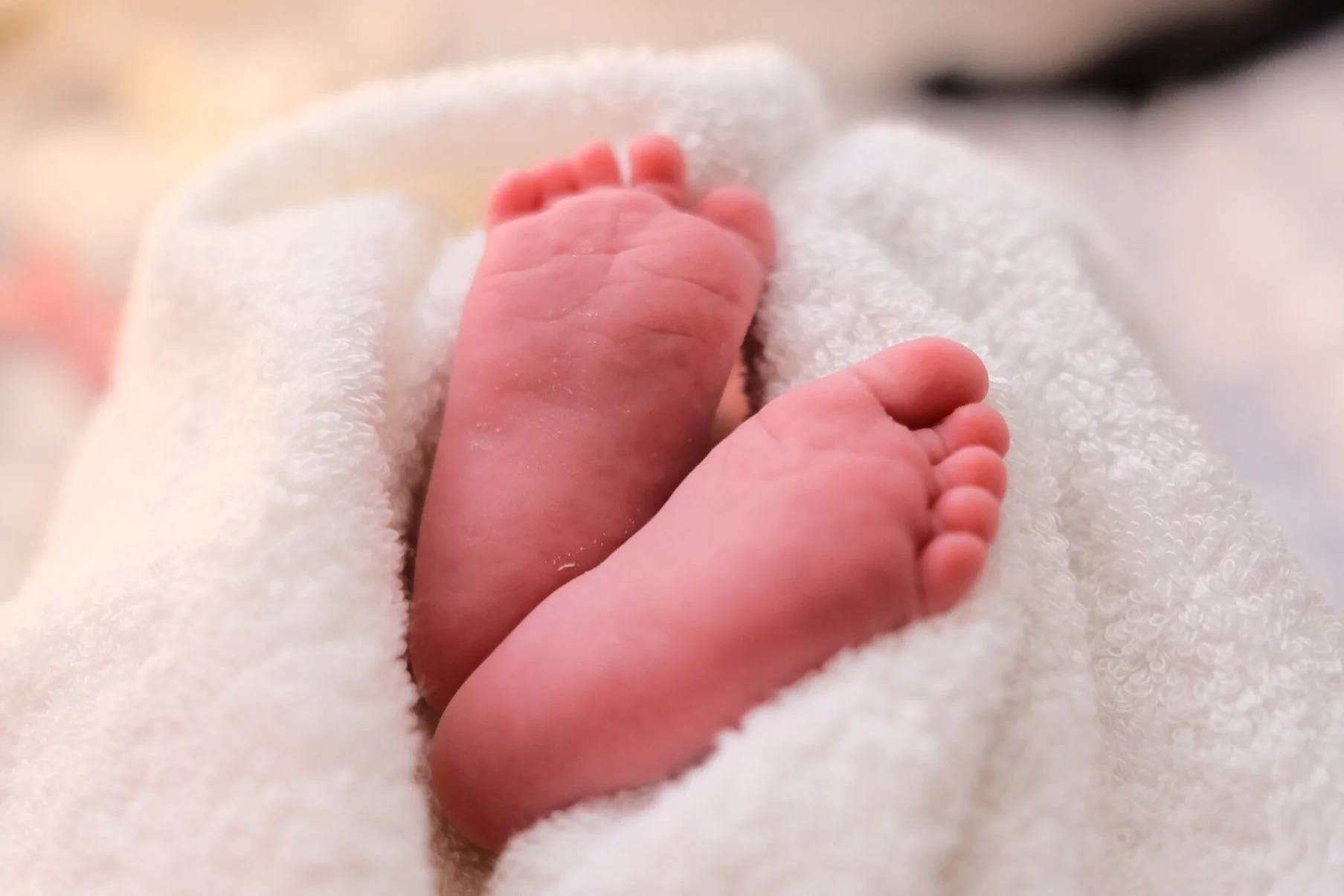 Baby Dedication Sunday