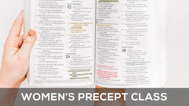 Thursdays from 10:00 am-12:00 pm