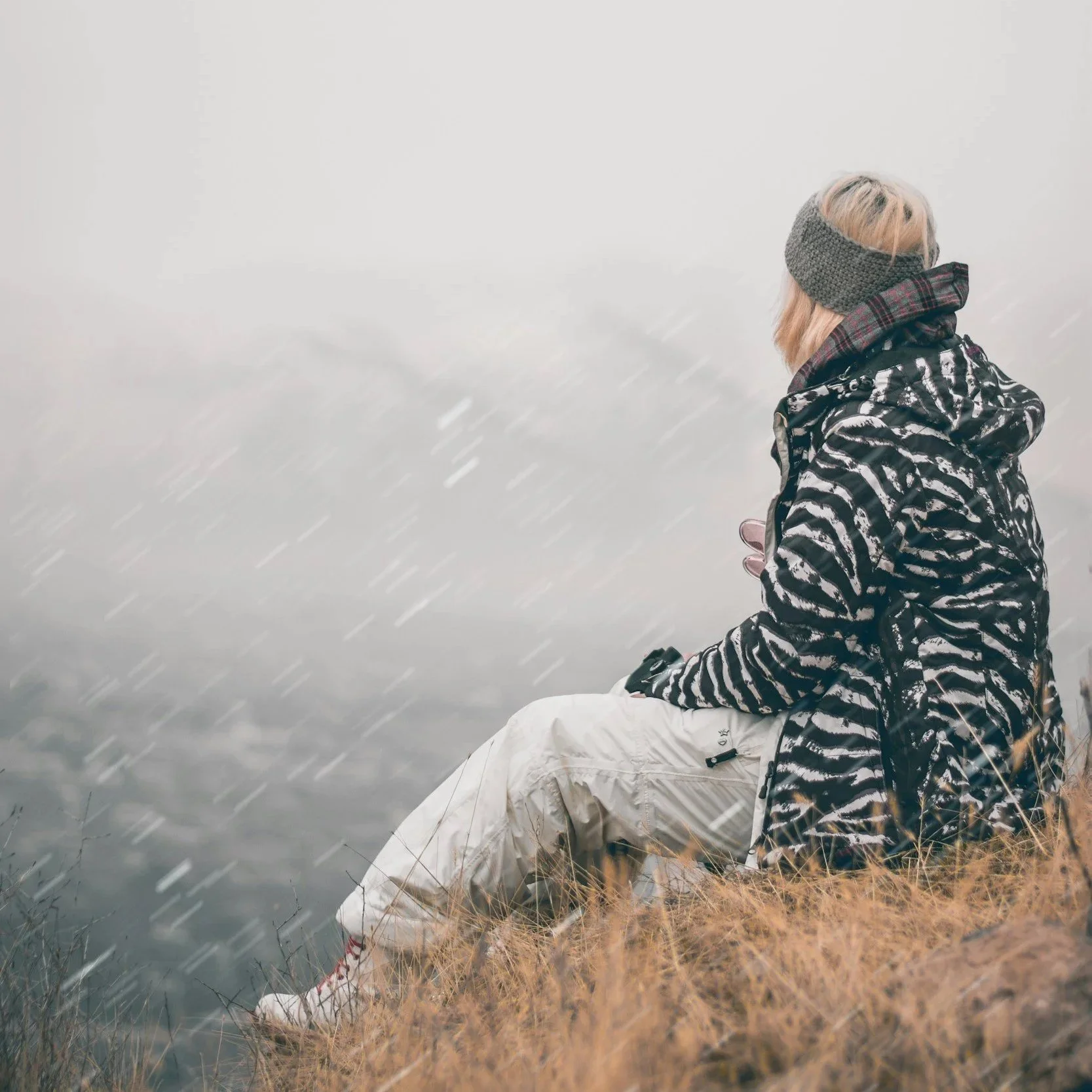 Quarterly Newsletter // Winter