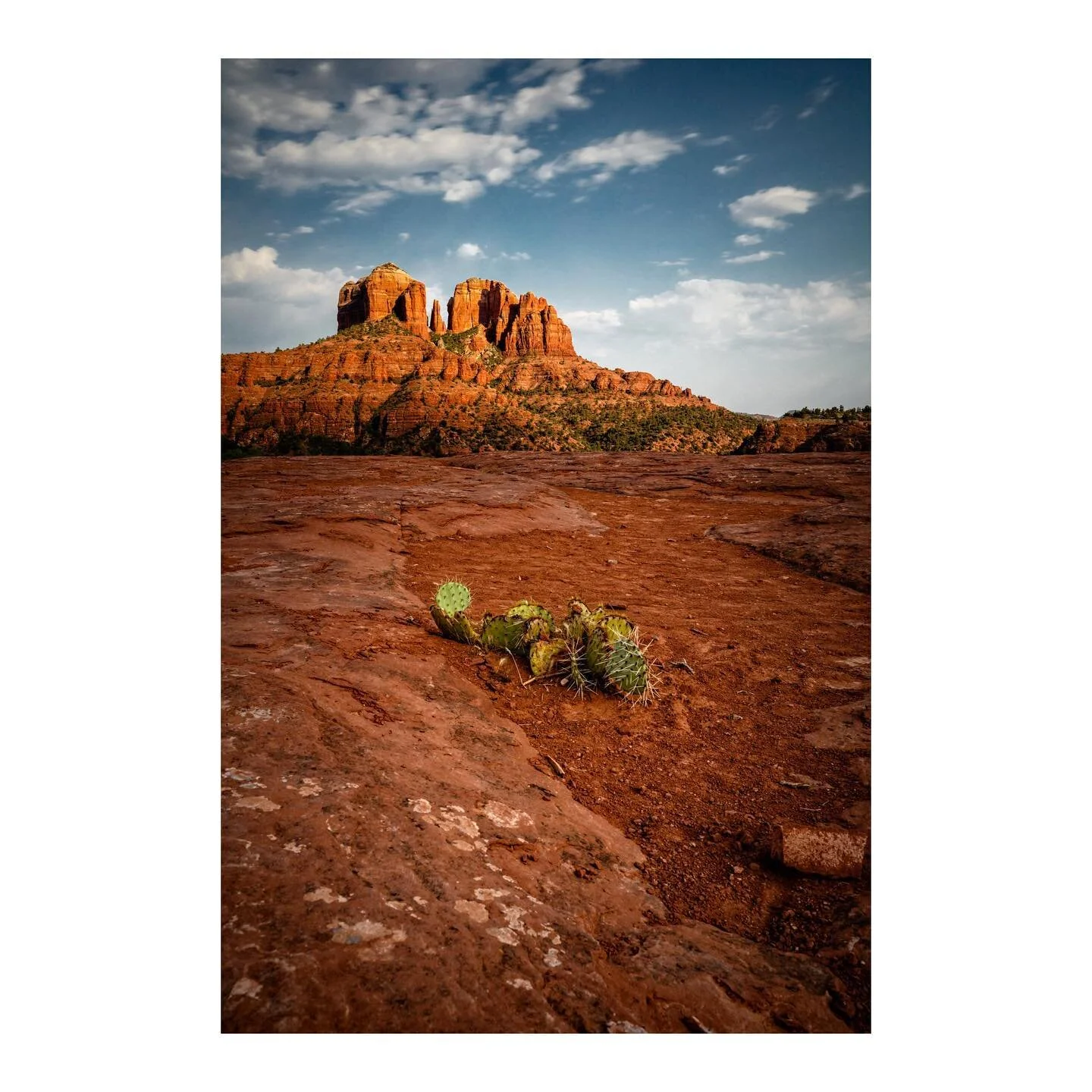Oh Sedona, you were a hot one, but a great one. Loved getting back to the desert.
.
.
.
.
.
#sedona #arizona #explore #theoutbound #sunset #sedonahiking #sedonaarizona #usa #cathedralrock #visitsedona #visitarizona #goexplore #getoutside #neverstopex