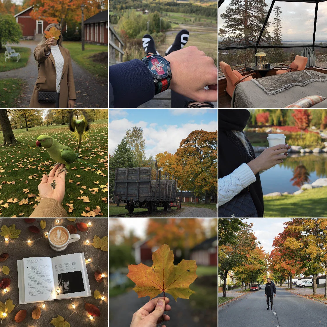 Instagram feed example before.jpg