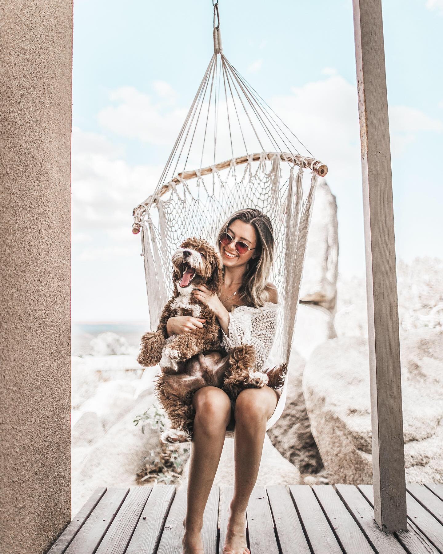 Relax with your bestie 🐶

Get Clean White presets from @mobilelightroompresets profile bio!
__________________________________
#mobilelightroompresets #BlvckMediaPresets #loov #loovpresets #PresetKauppa #lightroompresets #lightroomfilters #mobilelig