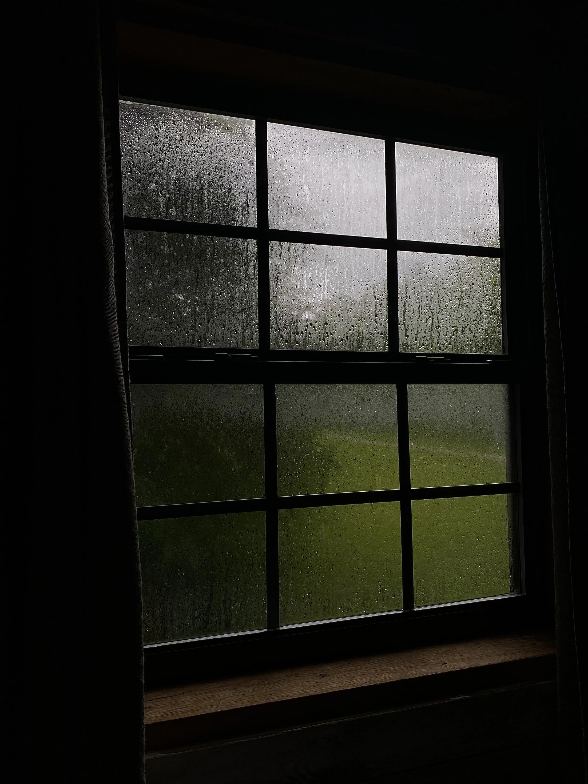 Stuck, Numb, or Unmotivated? Your Nervous System Might Be in Freeze