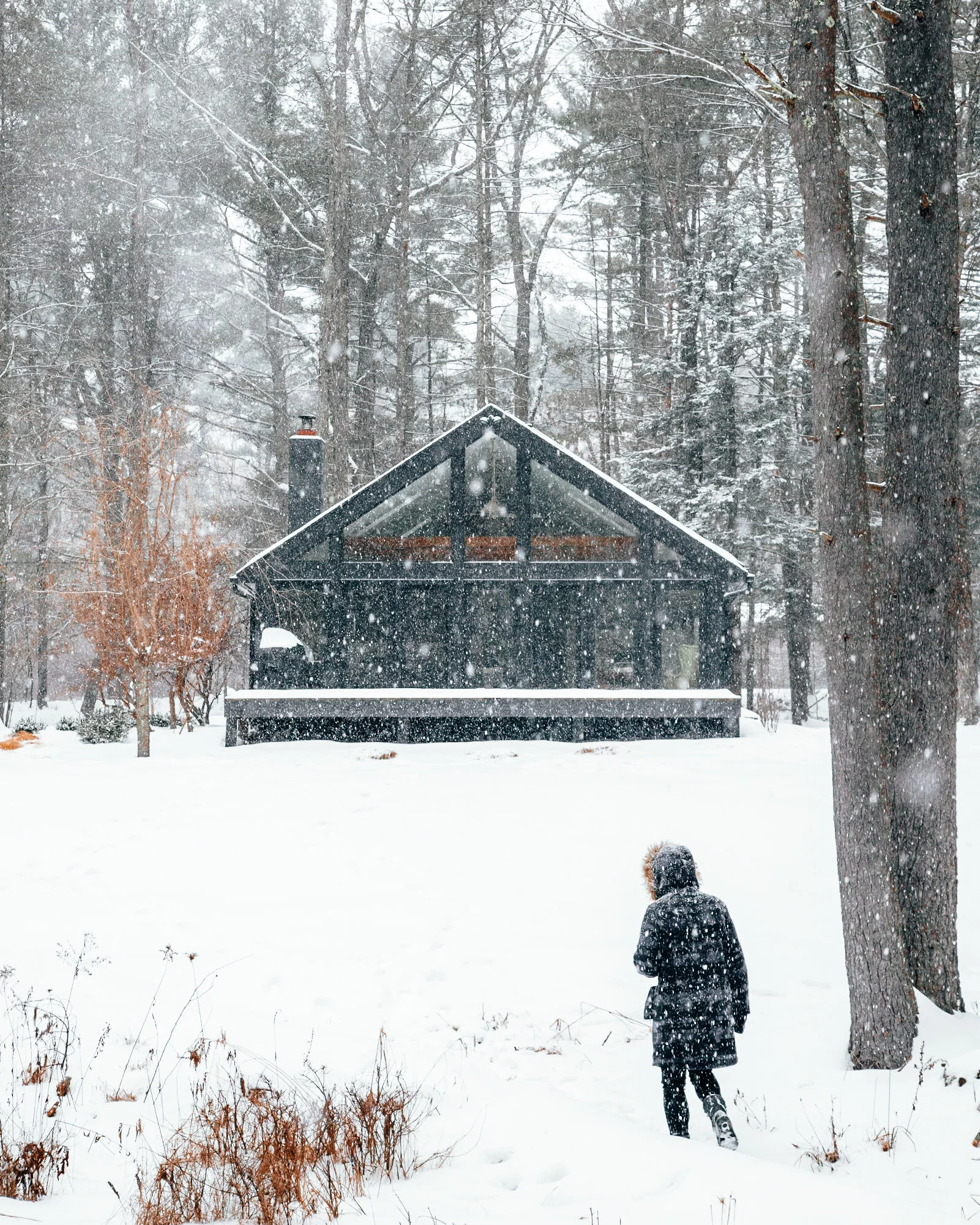 Photography of Cabin 8 by Chris Daniele