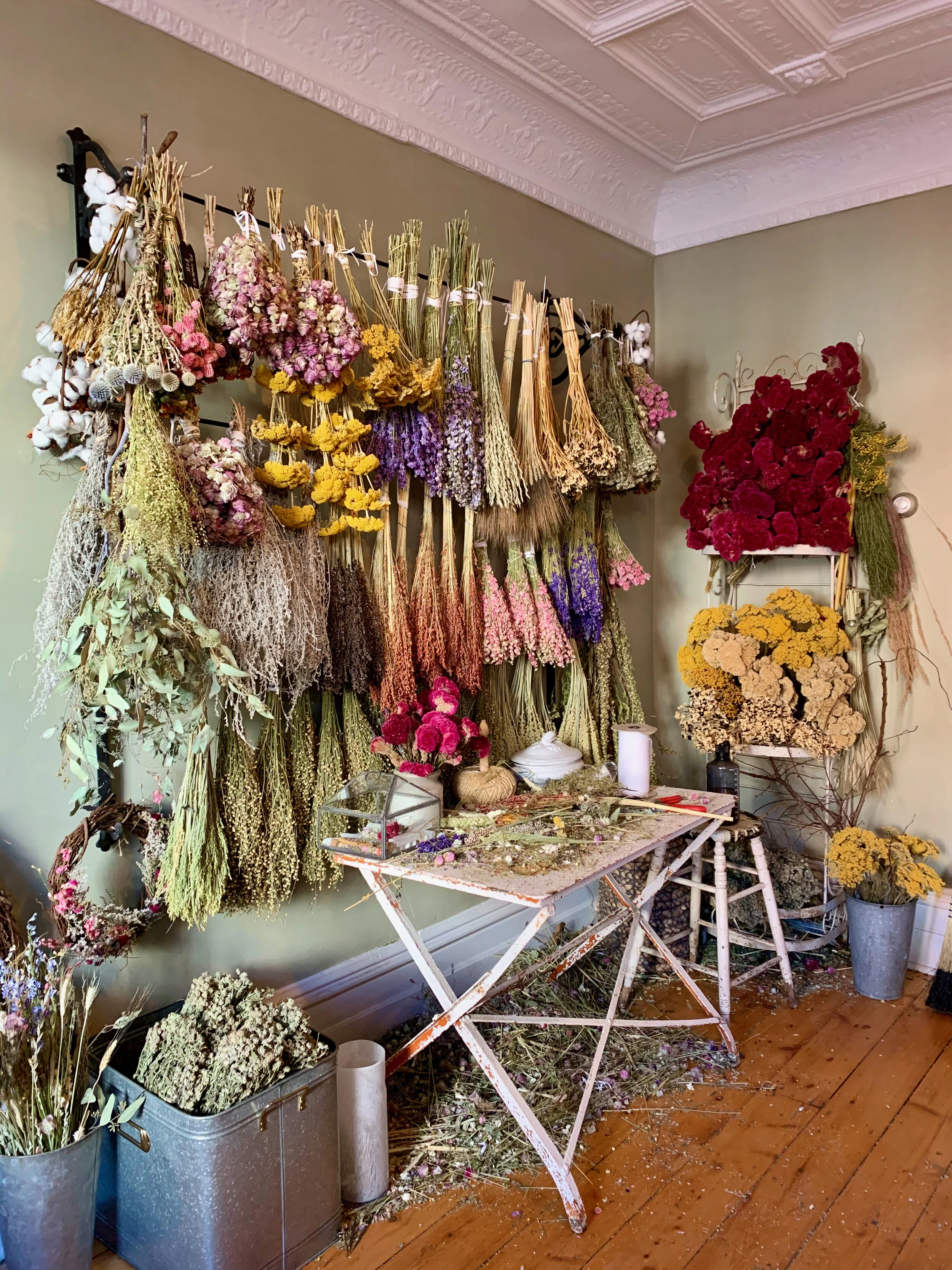 Newcomers to the Hudson Valley We'll Be Visiting this February