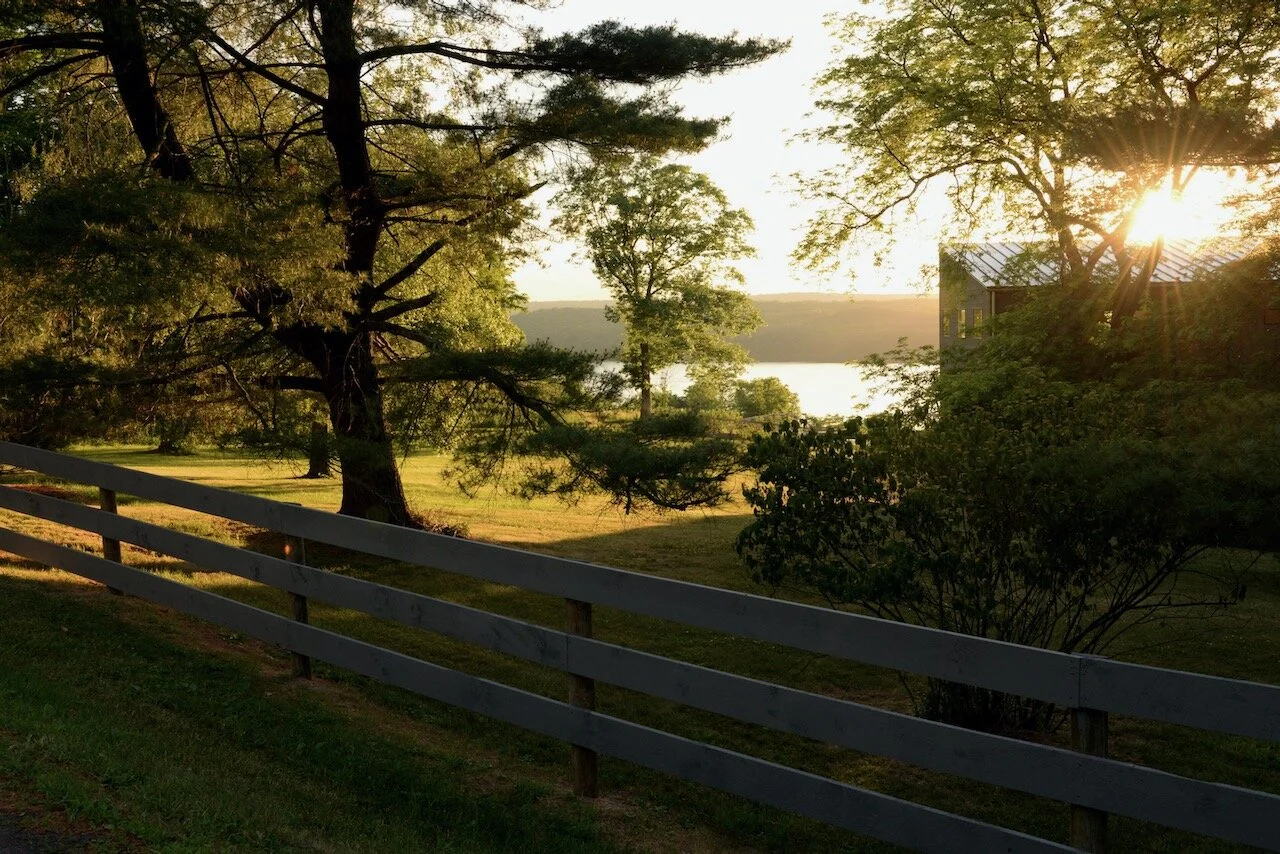 Z7.Copy of 44_9173.jpeg