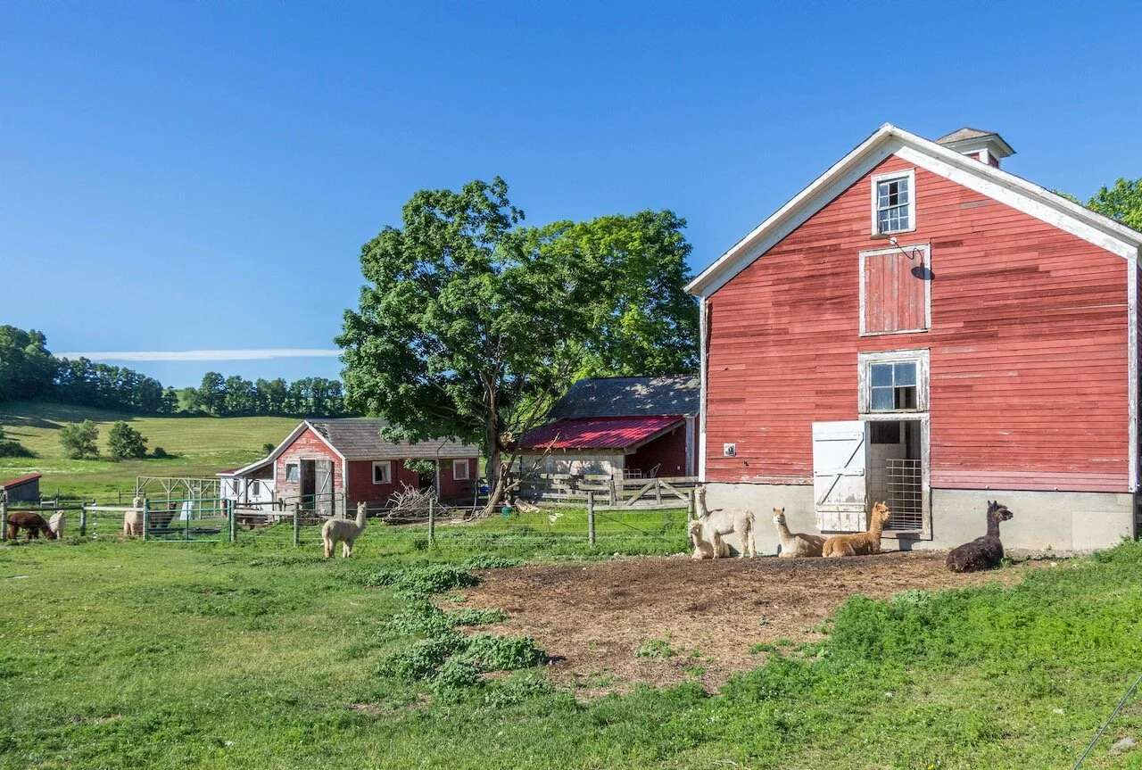 Q.Copy of 024-1189ChamberlainMillsSalemNYWeimer061918 024.jpeg