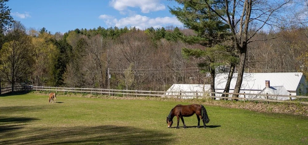 8 Sluyter Rd-46.jpeg