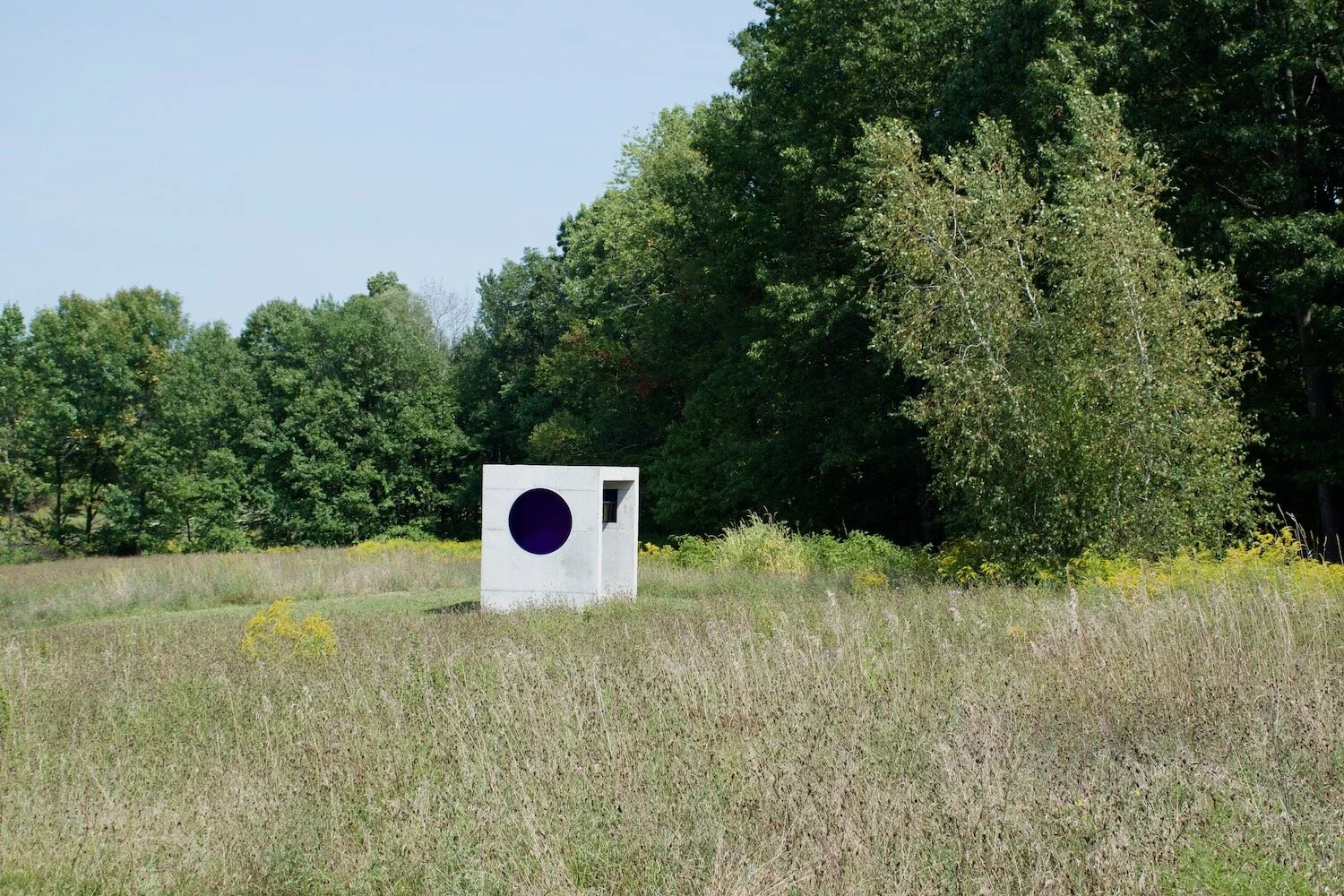 Everything You Need to Know About UPSTATE ART WEEKEND