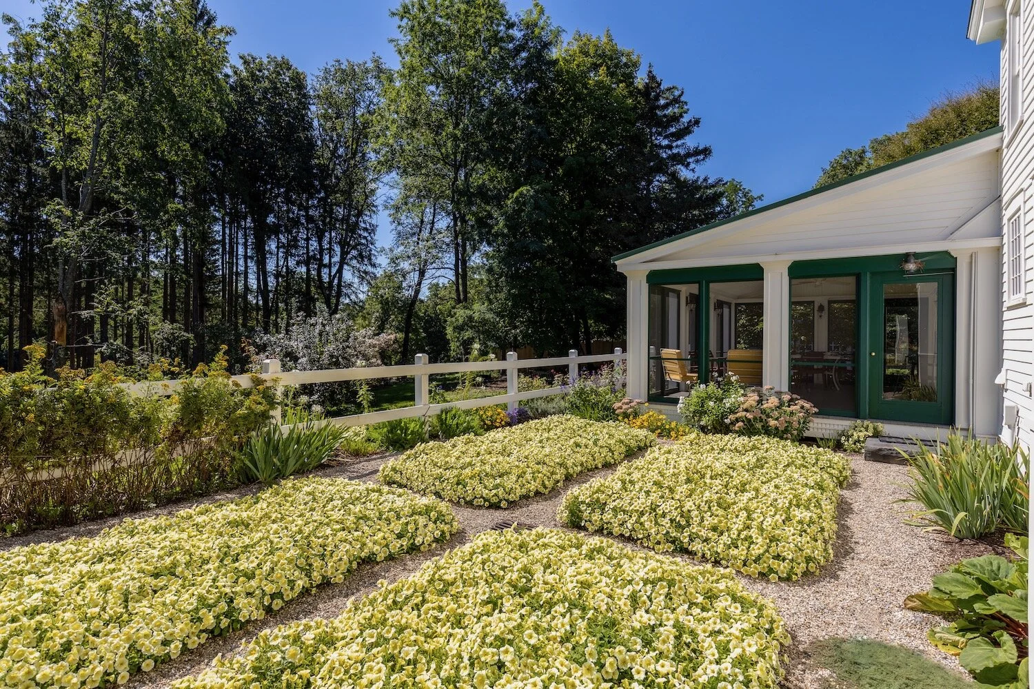 Photo by: Alon Koppel Photography