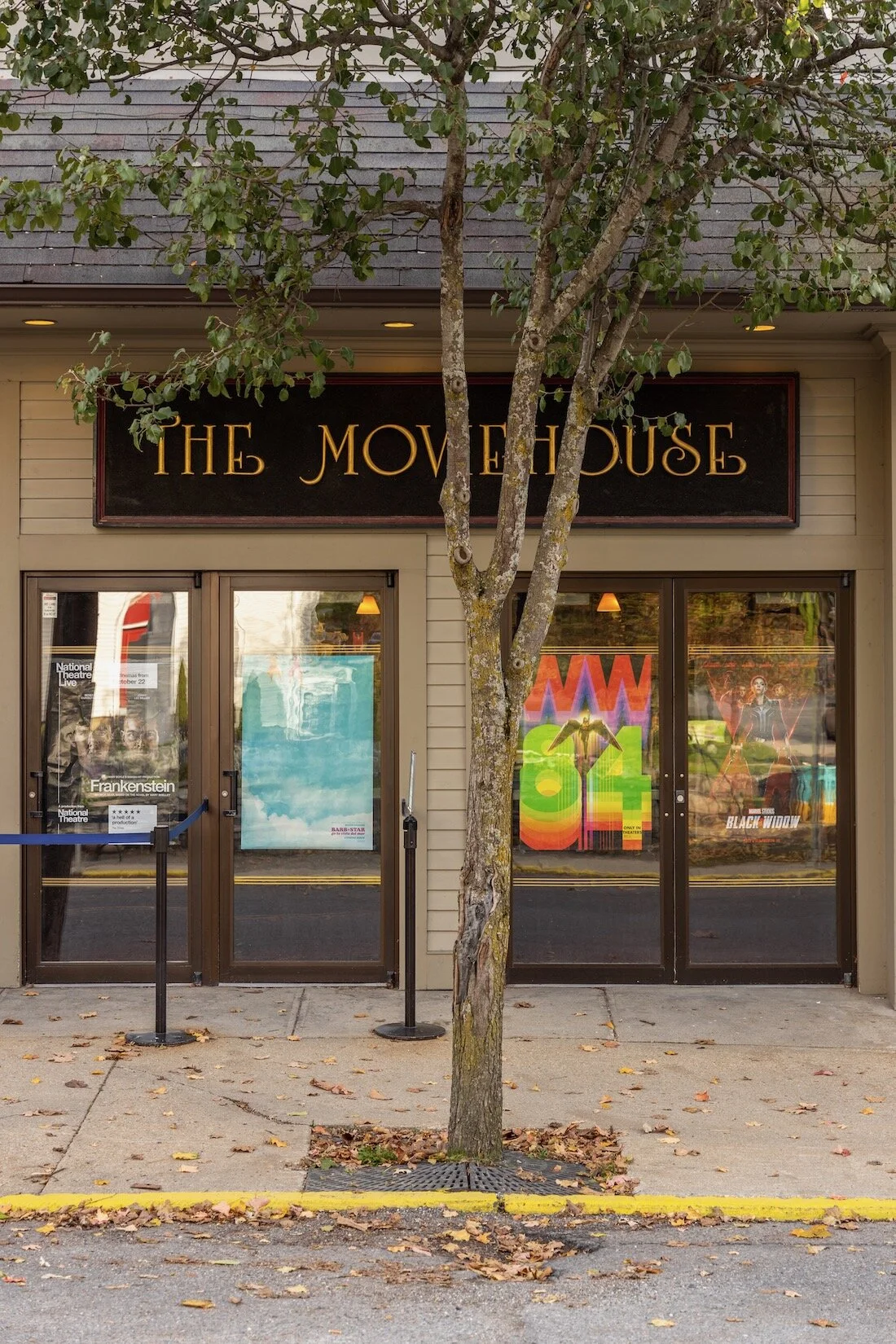 Photo by: Alon Koppel Photography