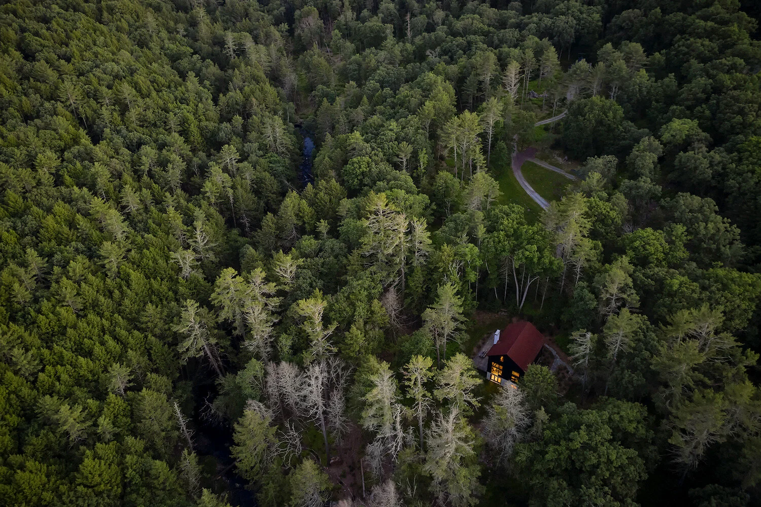 beaverbrook_DJI_0118.jpeg