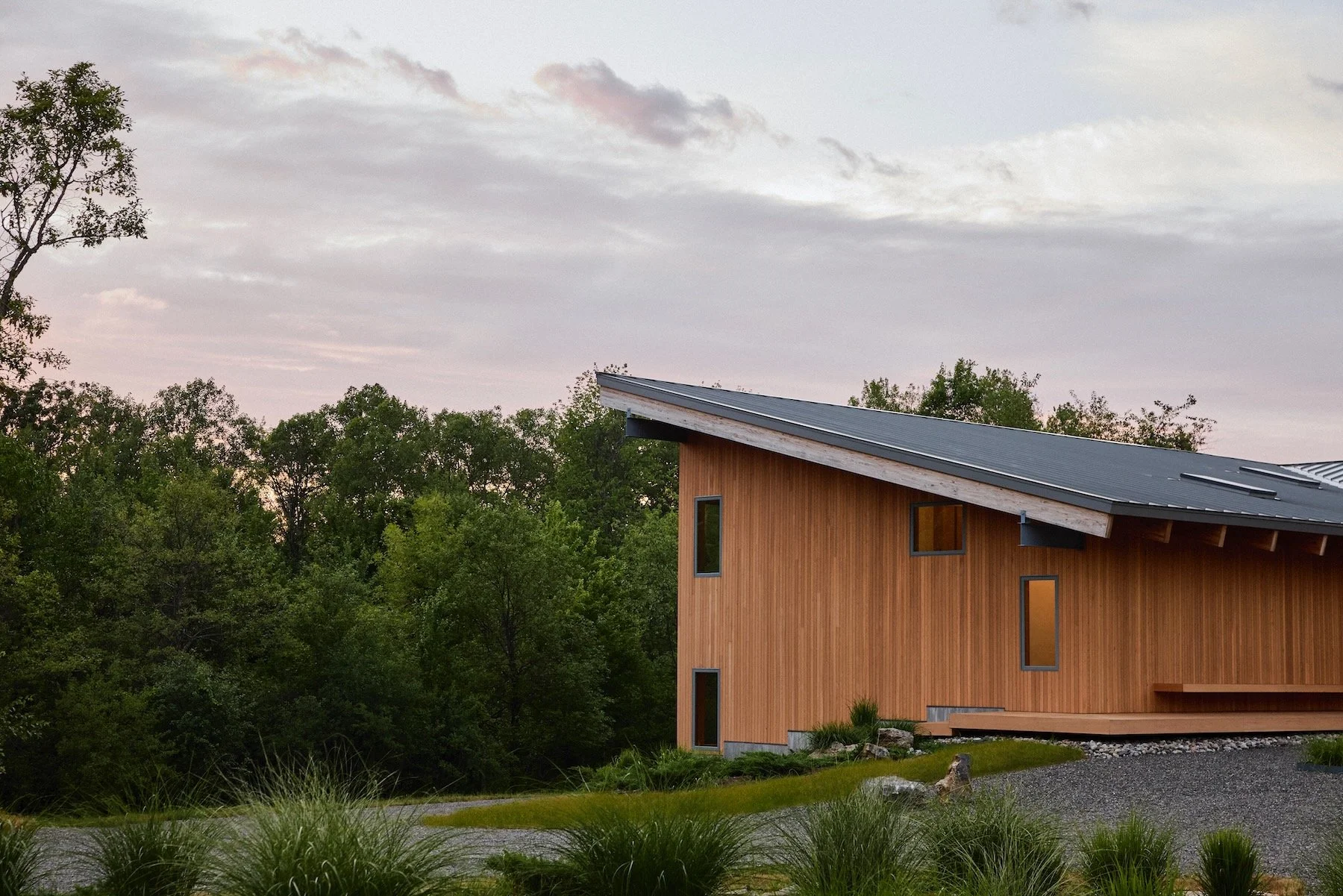 L Wing Summer Web - 4.jpeg