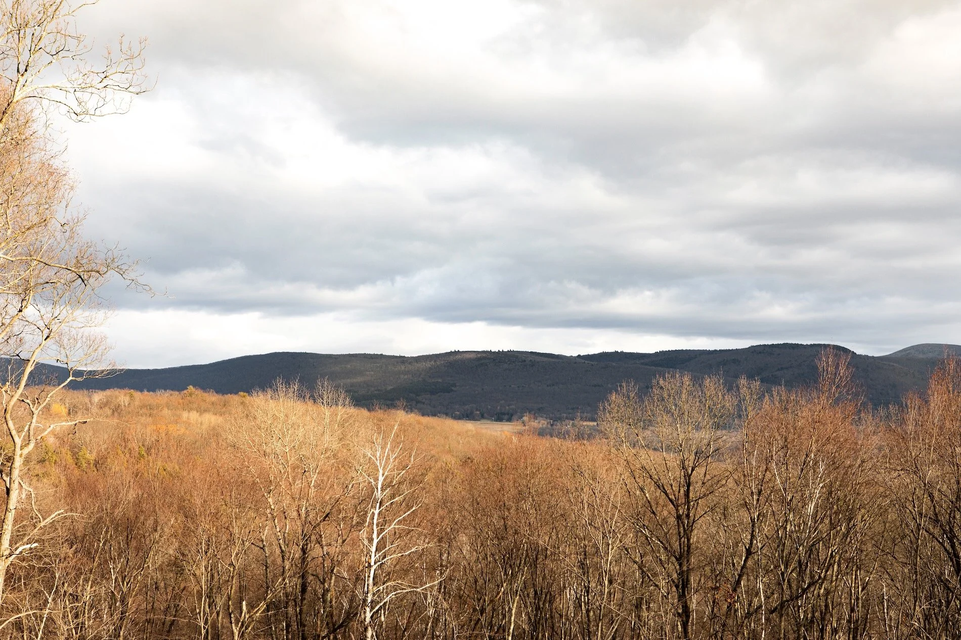 The 9 Square House To Edit - 59.jpeg