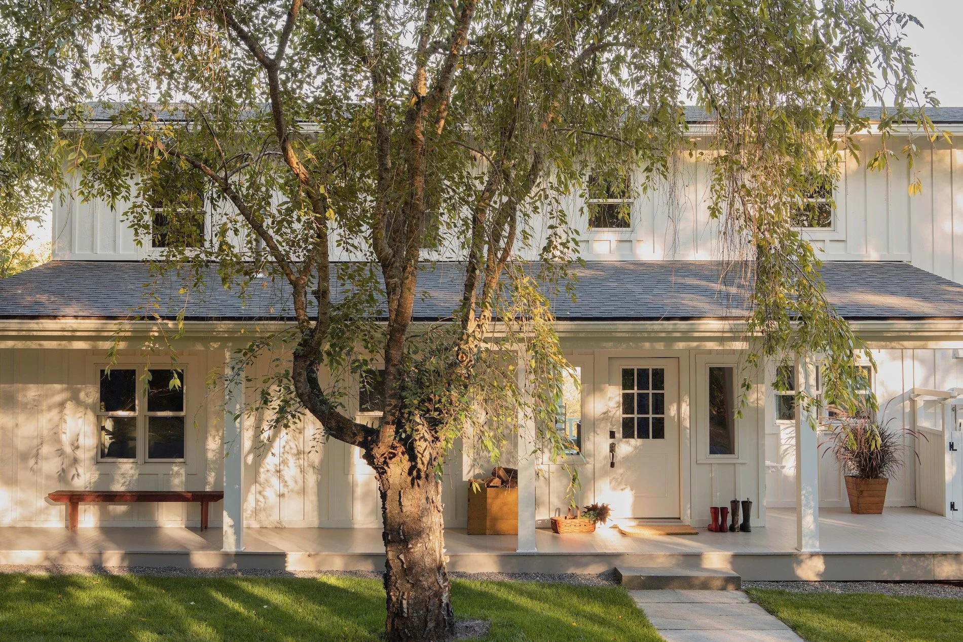 Haas Hill Web - 2.jpeg