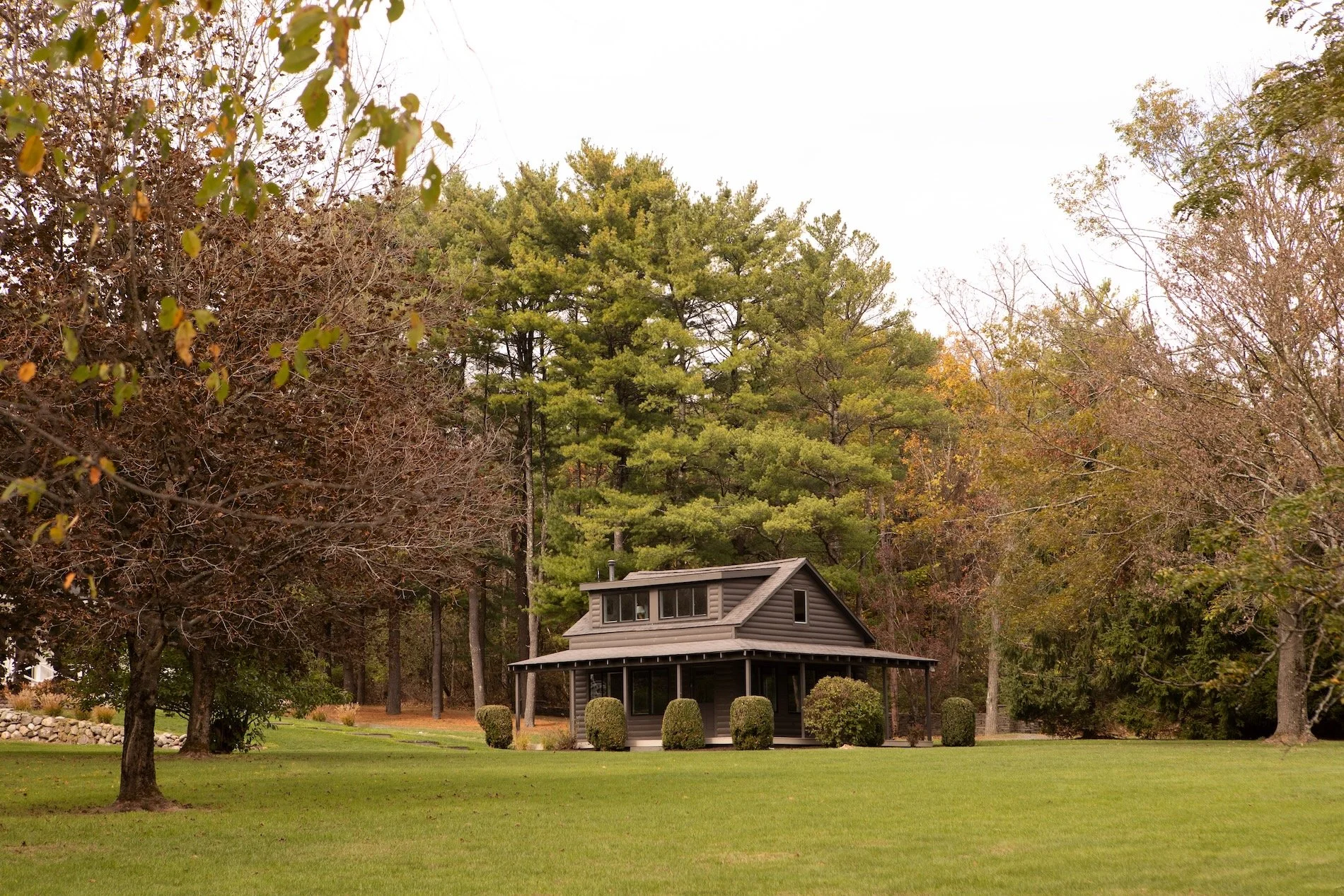 Haas Hill Web - 5.jpeg