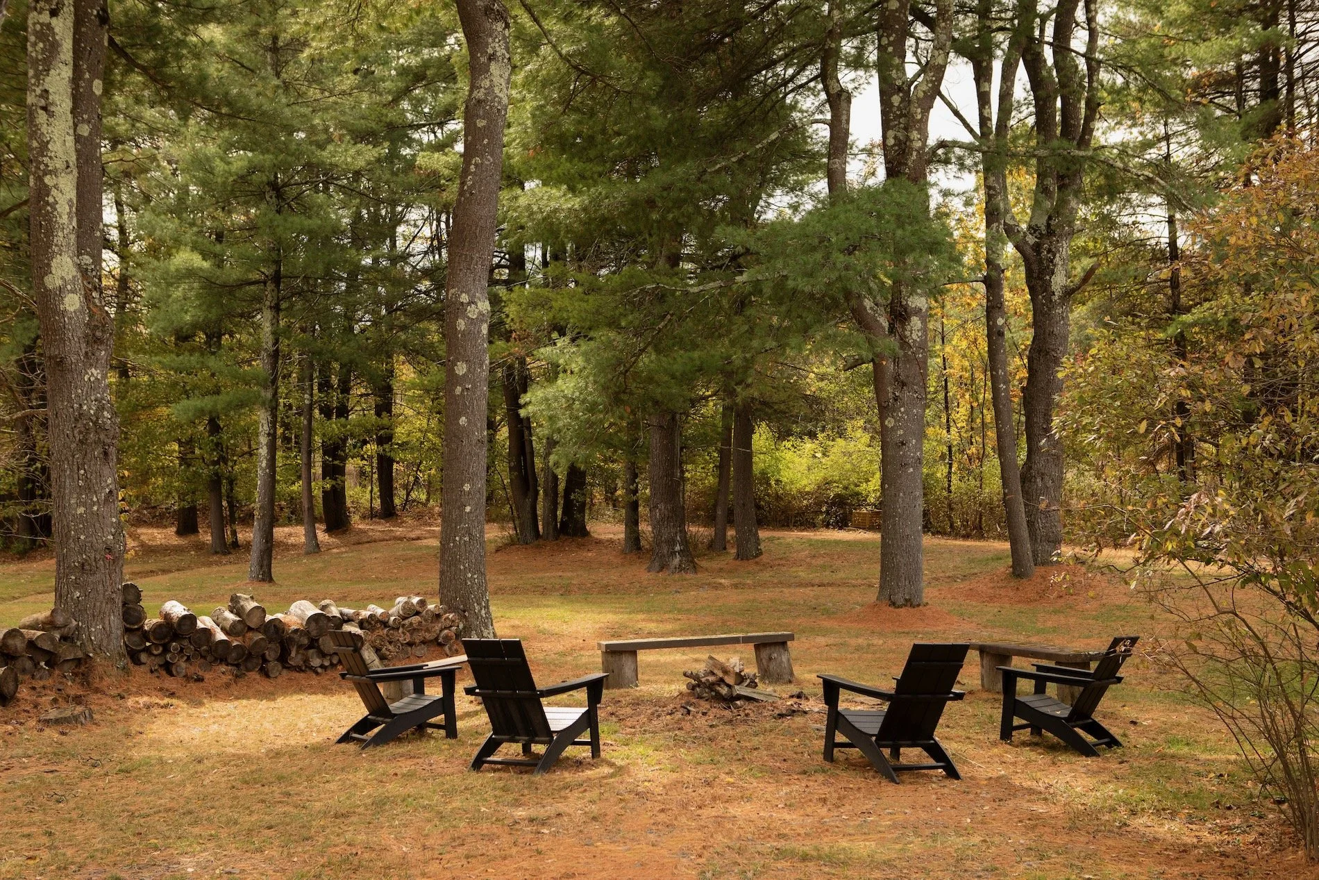 Haas Hill Web - 37.jpeg