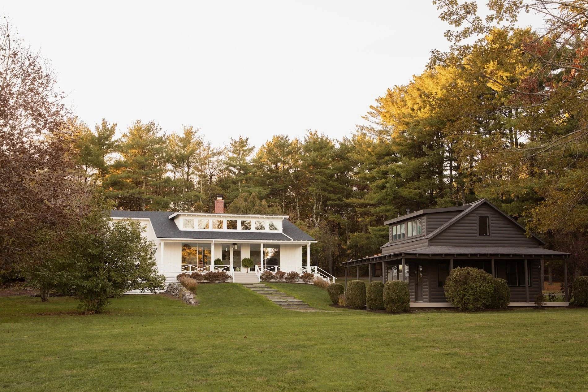 Haas Hill Web - 56.jpeg