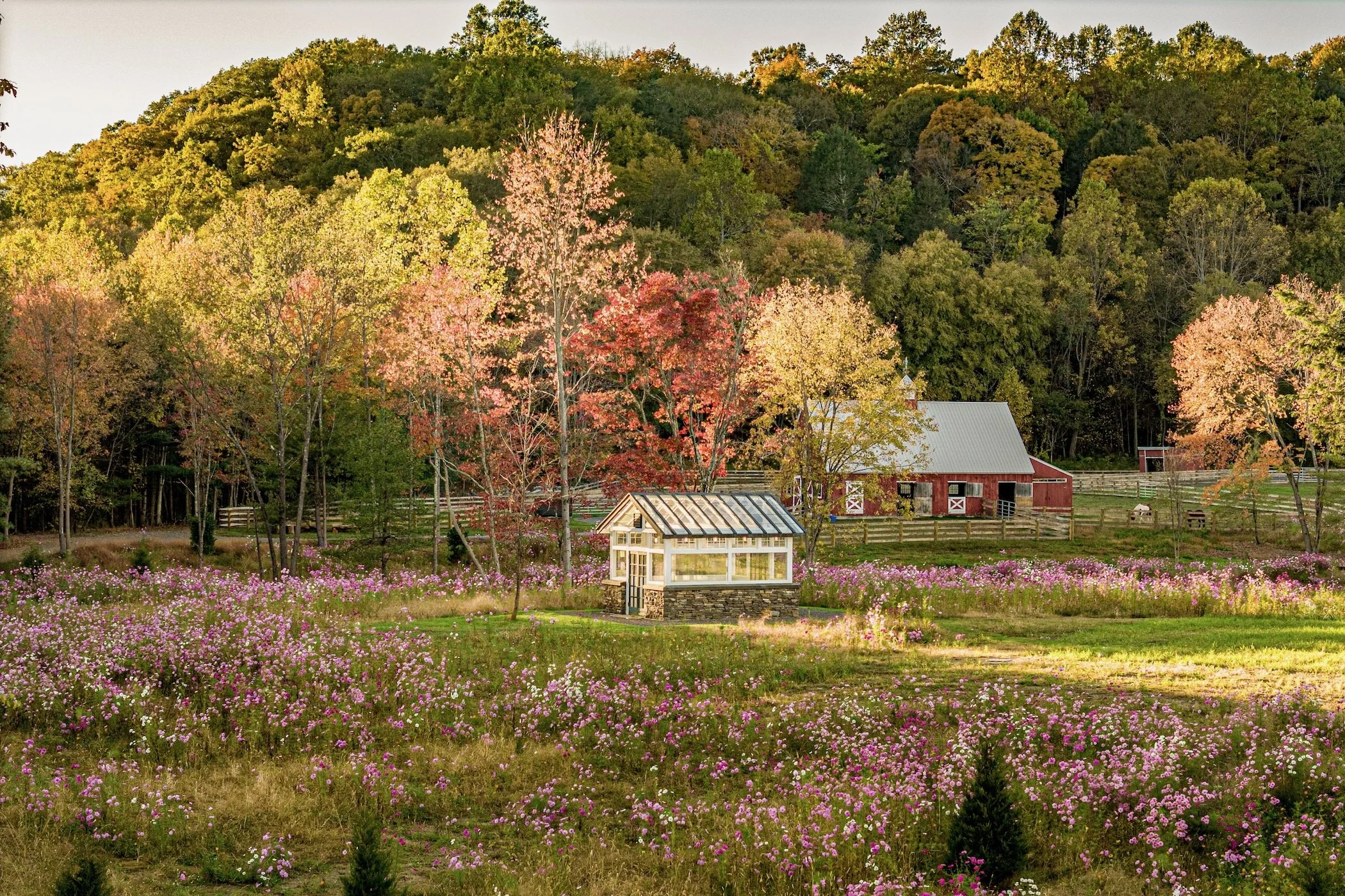 Hellbrook House Web - 2.jpeg