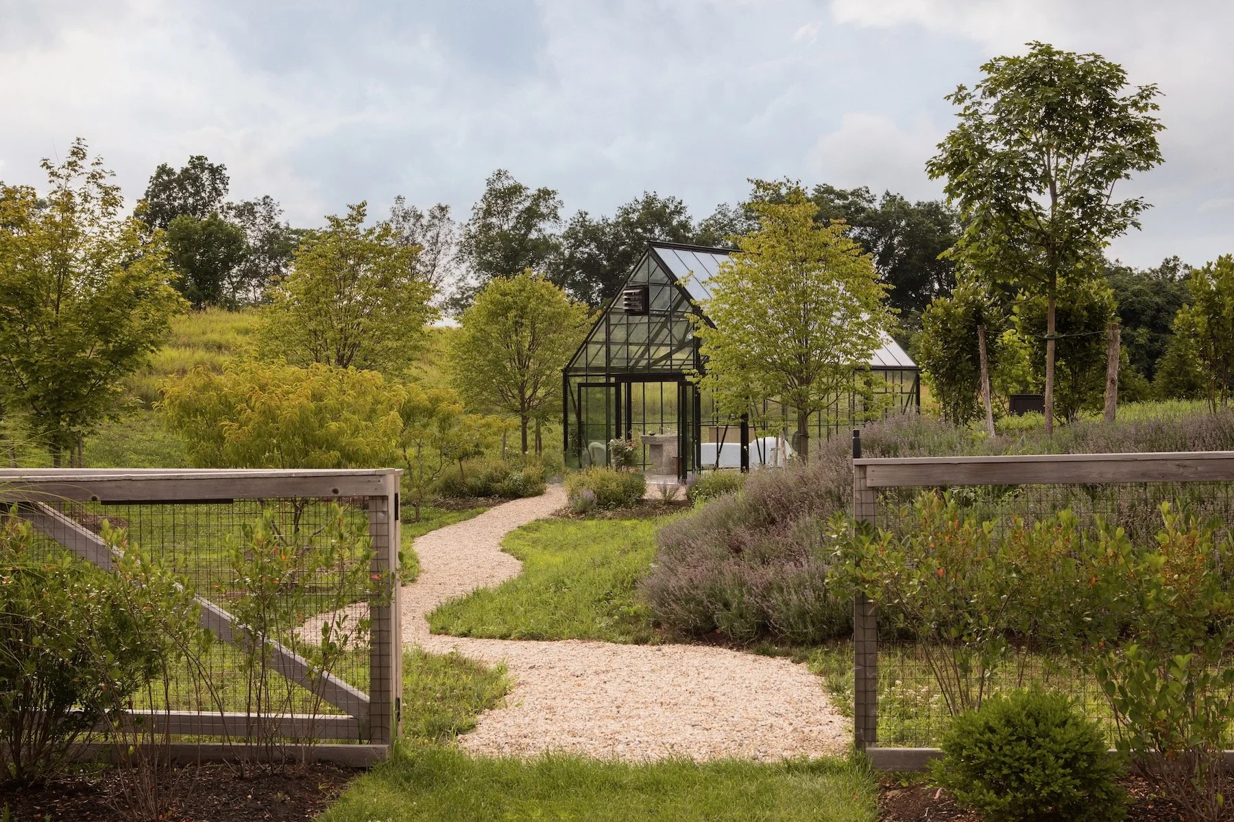 Fox Lane Web - 4.jpeg