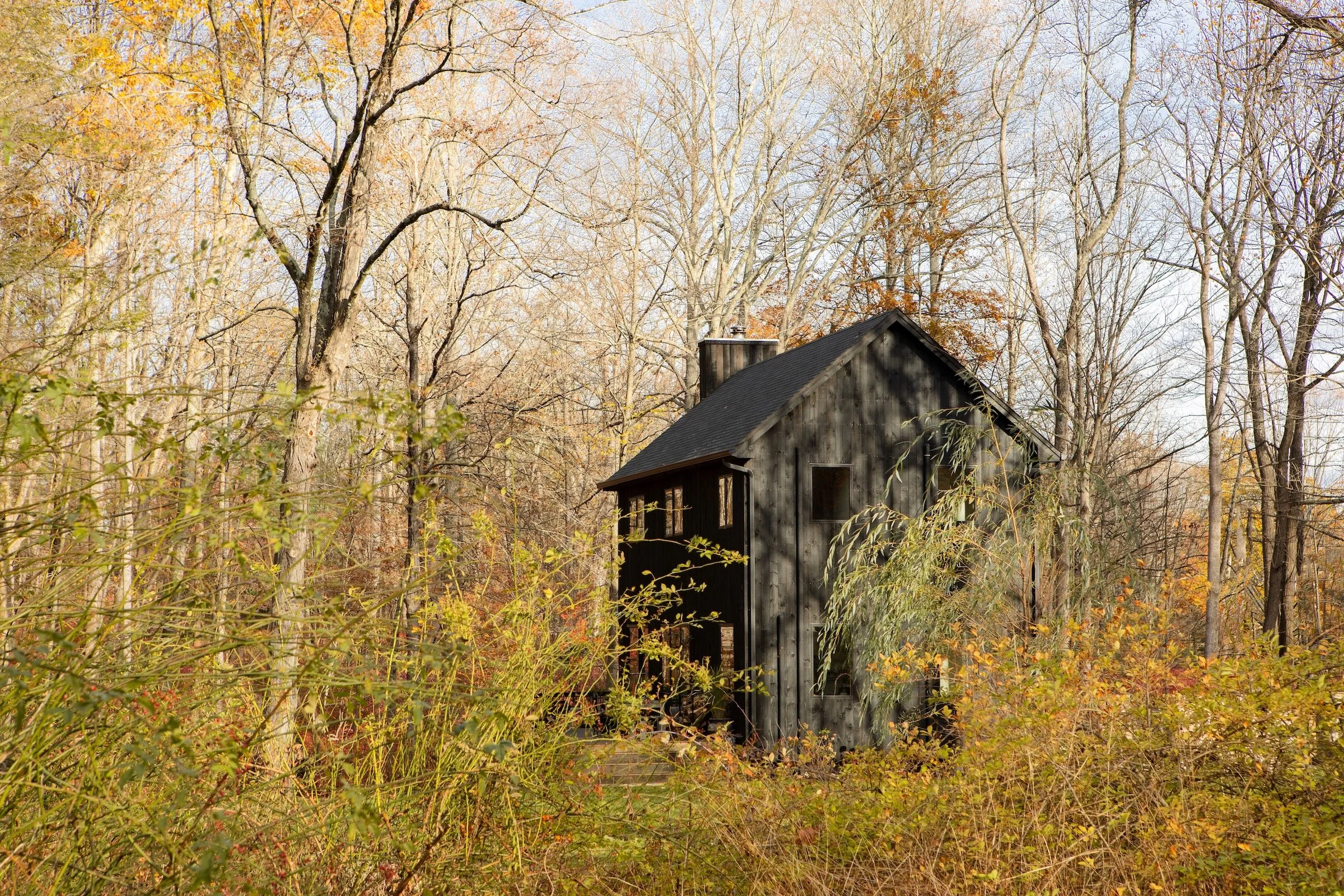 Patterson Web Higher Res - 2.jpeg