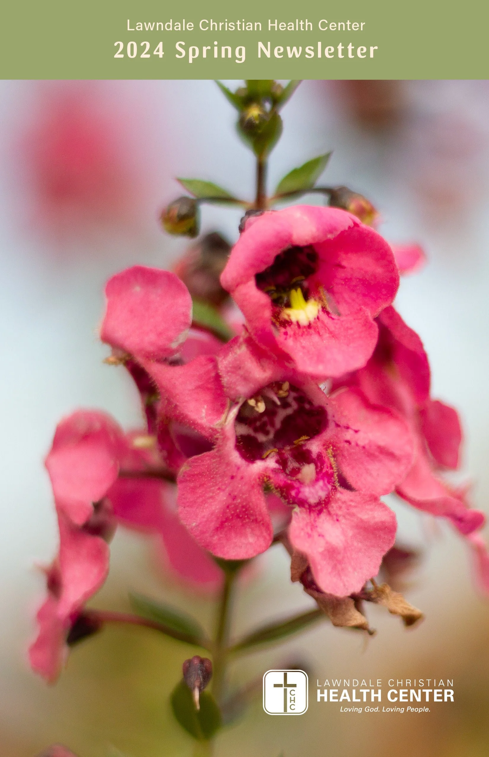 Spring Newsletter 2024