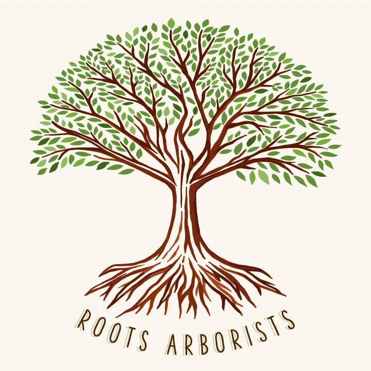 roots-arborists-logo.jpg