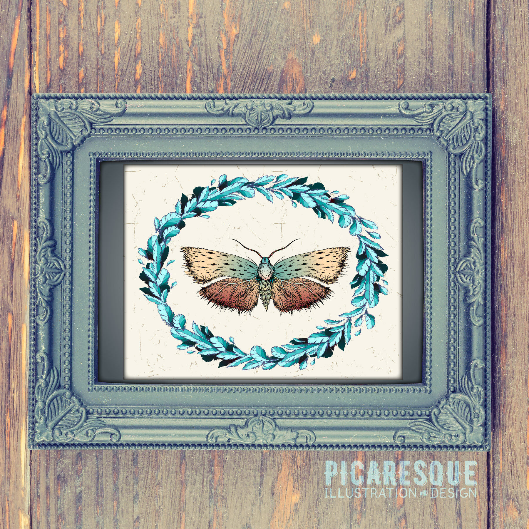 Moth-illustration-web-MOCKUP.jpg