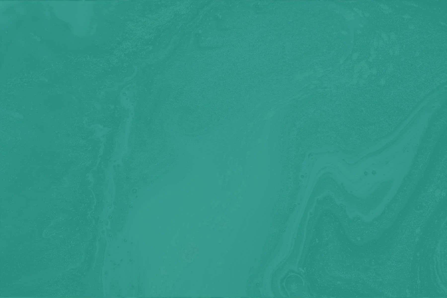 back-matiere-green.jpg