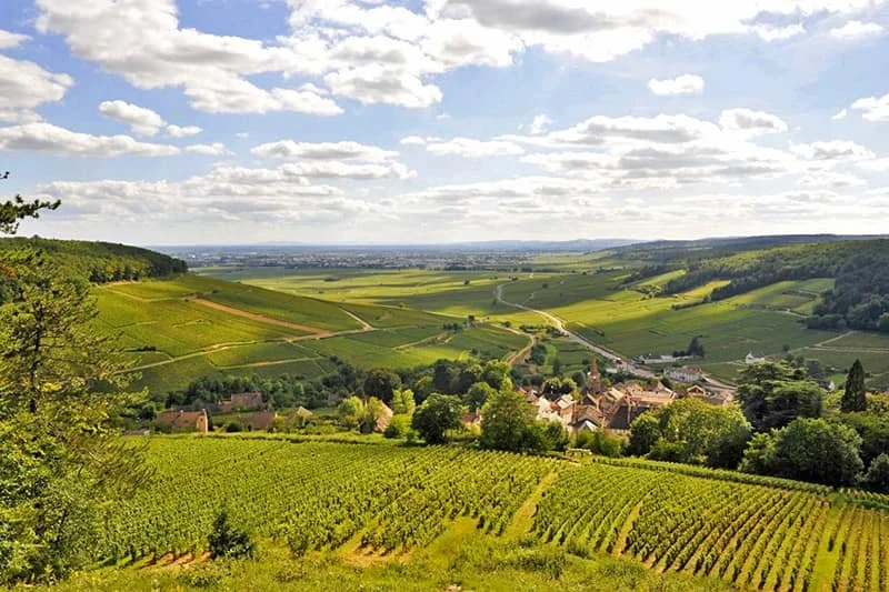 Burgundy-Rolling-Hills_800x533_72dpx.jpg