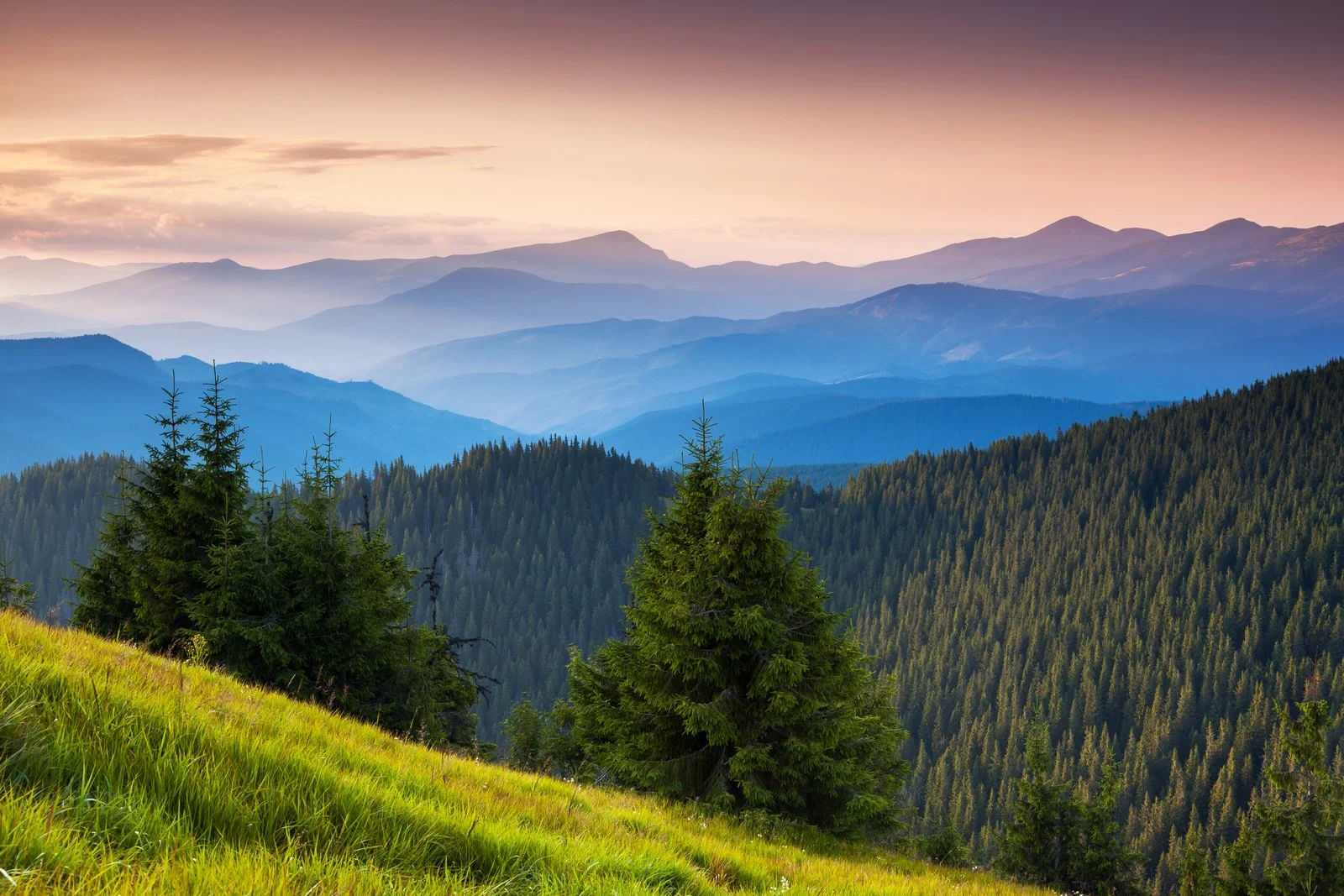 moutains - can stock.jpg