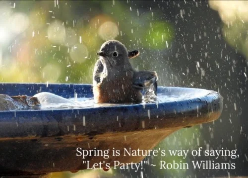 Spring Equinox Fun Facts from the Farmer's Almanac