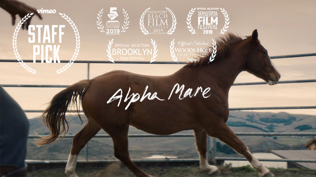   Alpha Mare (2019)  