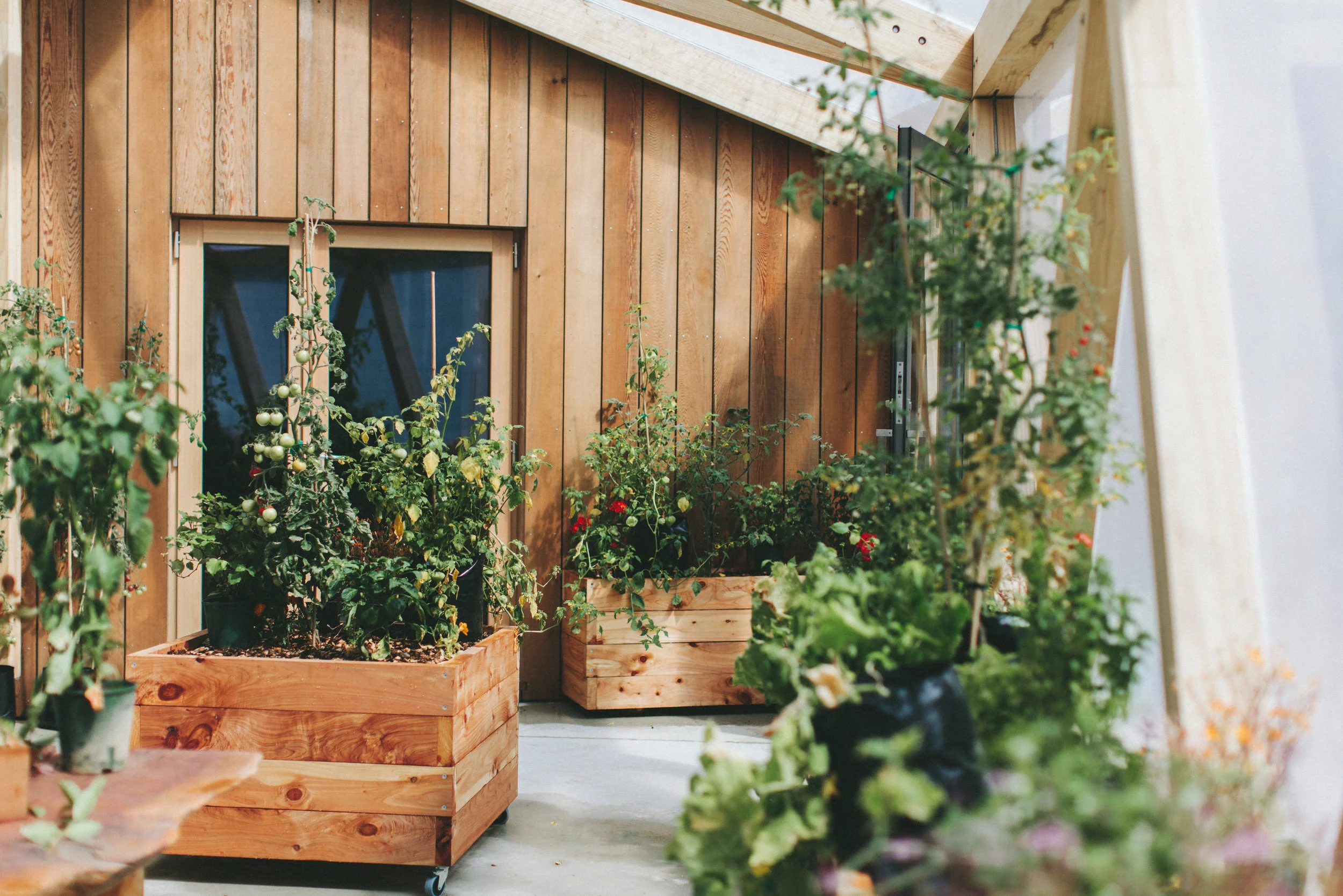 Annual Plant Sale