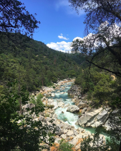 Screen Shot 2021-03-29 at 11.11.25 AM.png