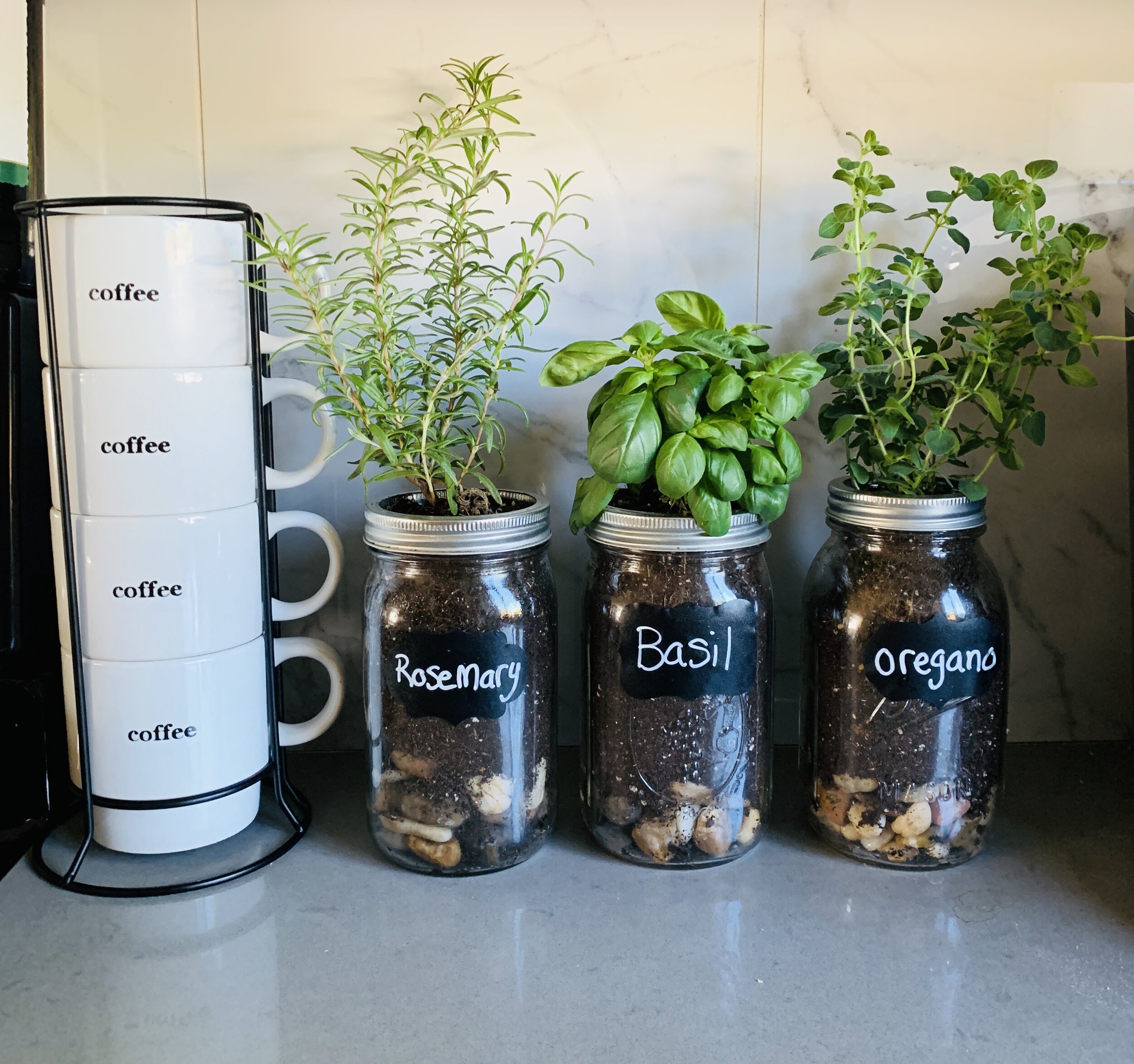 DIY Mason Jar Herb Garden