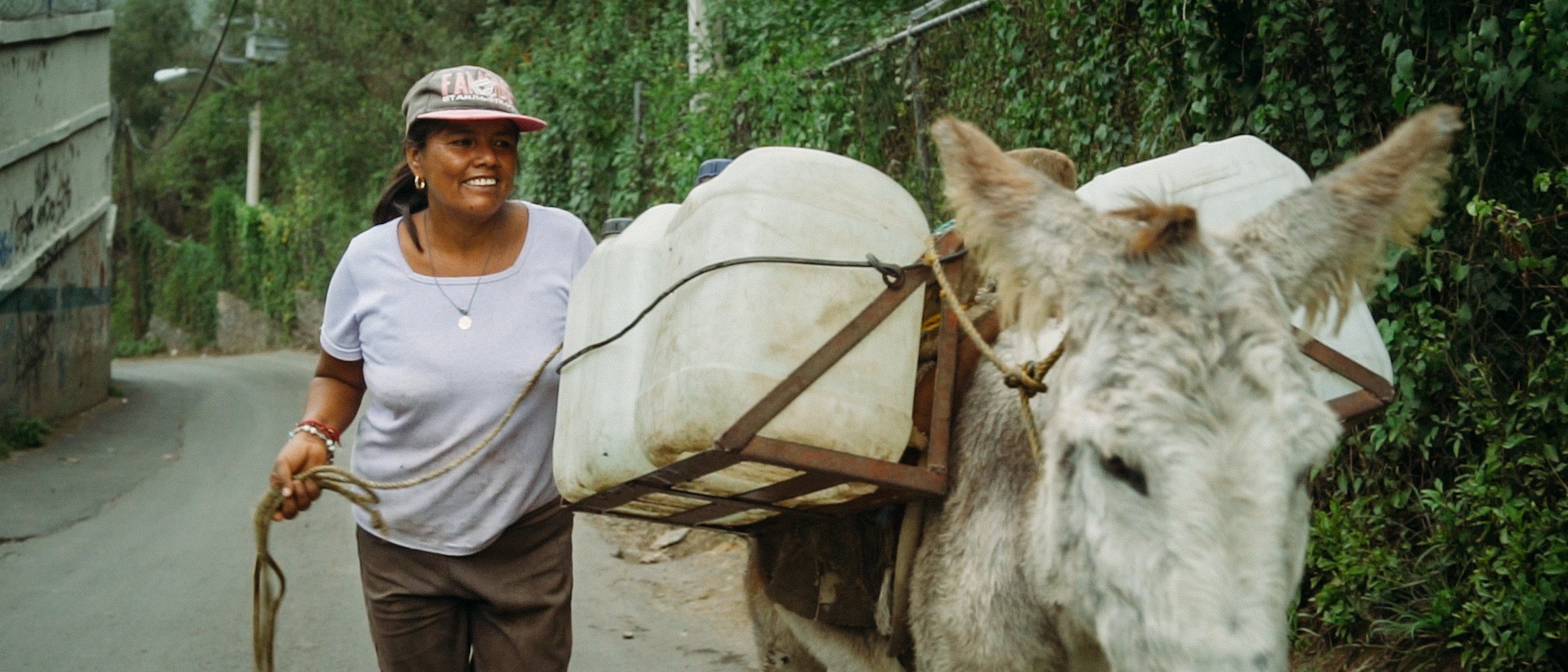 Alianza para la Inversión de Impacto
