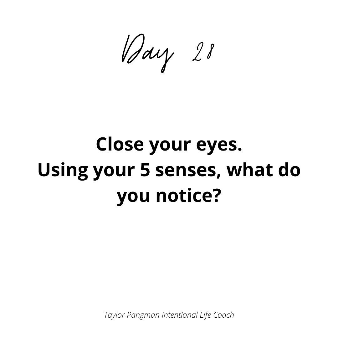 day 28 - you can turn this question into a meditation&hellip;in fact, you could turn any of these questions into your intention for a good sit, but especially this one. sitting. closing your eyes. take a few minutes to just settle in, letting your bo